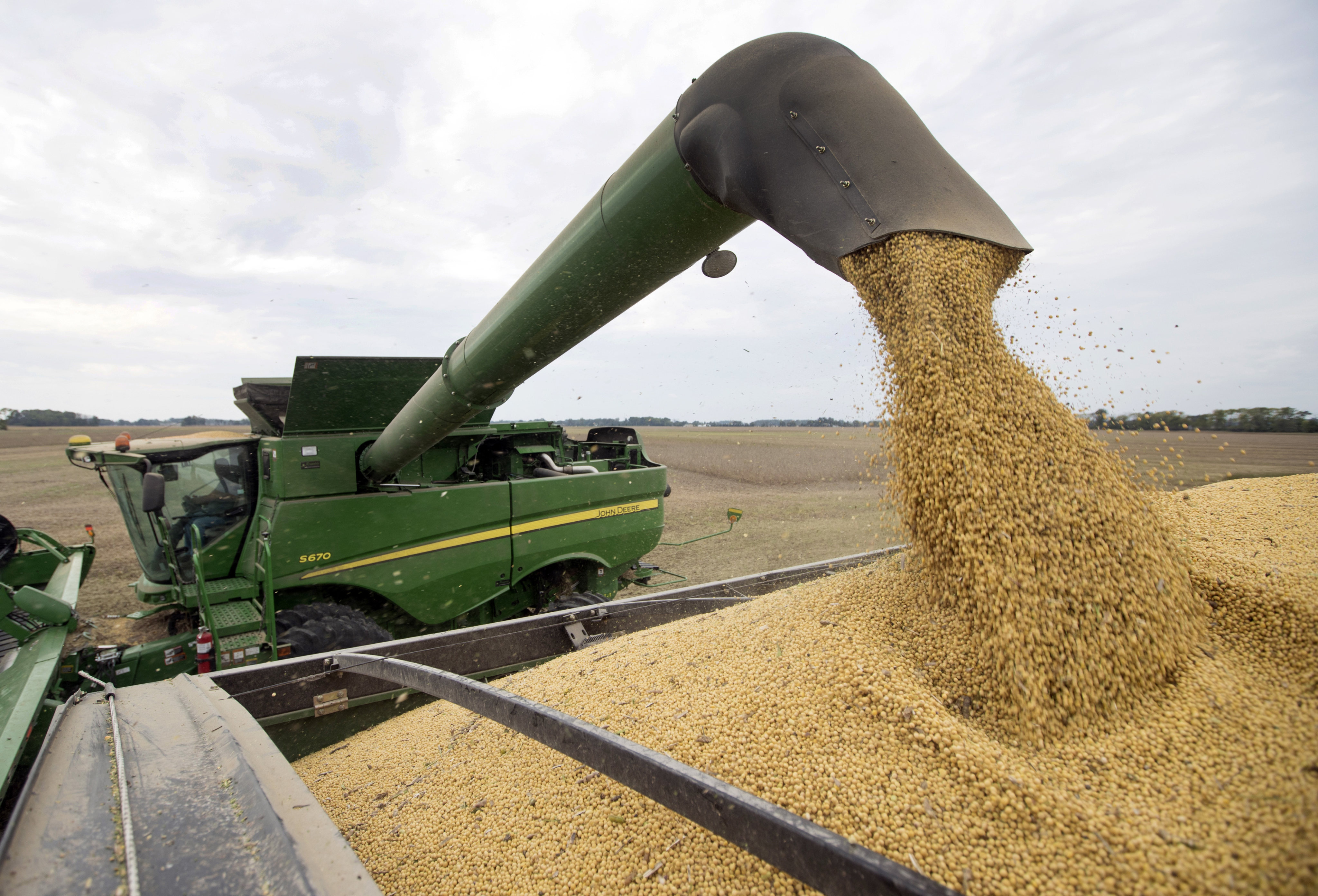 A farmer offloads soybeans from his combine as he harvests his crops in the US. Photo: AP 
