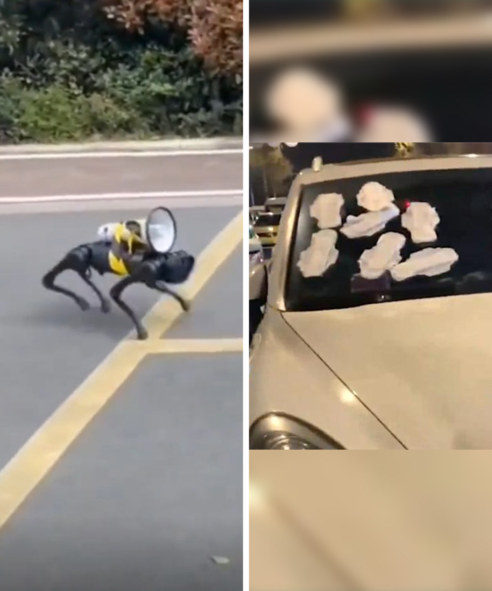 A robotic dog with a loudspeaker patrols Shanghai (left) and a bad parker is punished with sanitary pads (right). Photo: Weibo