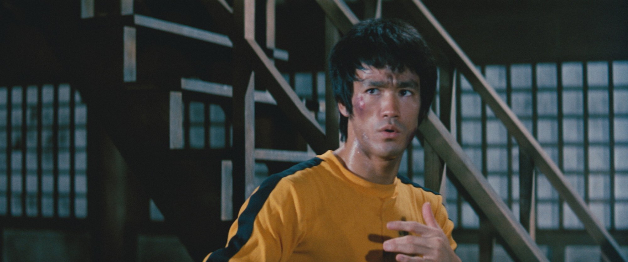 Bruce Lee's Death Caused by Too Much Water, New Study Proposes