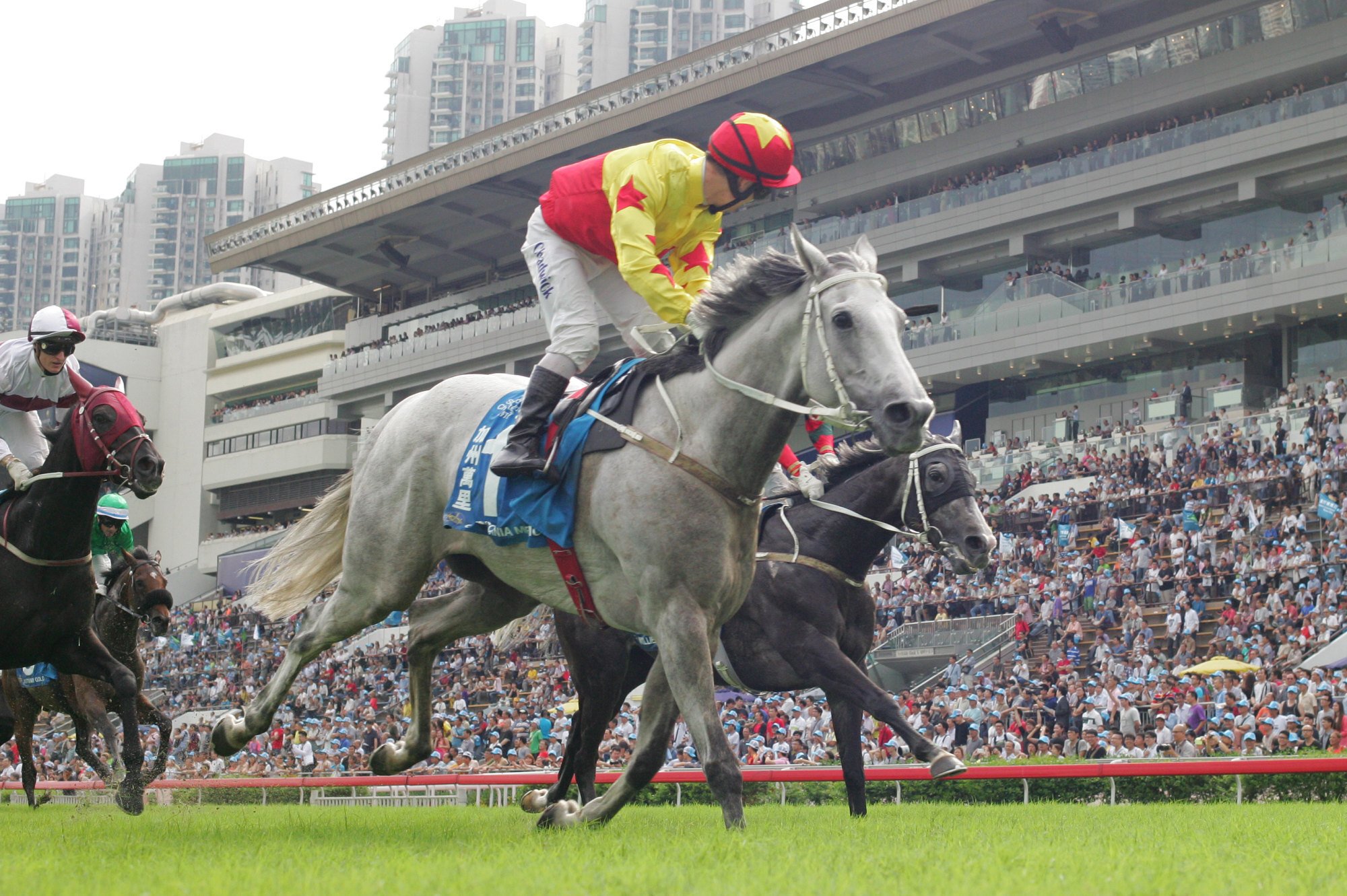 California Memory wins the 2013 Champions & Chater Cup under Matthew Chadwick. Photo: Kenneth Chan