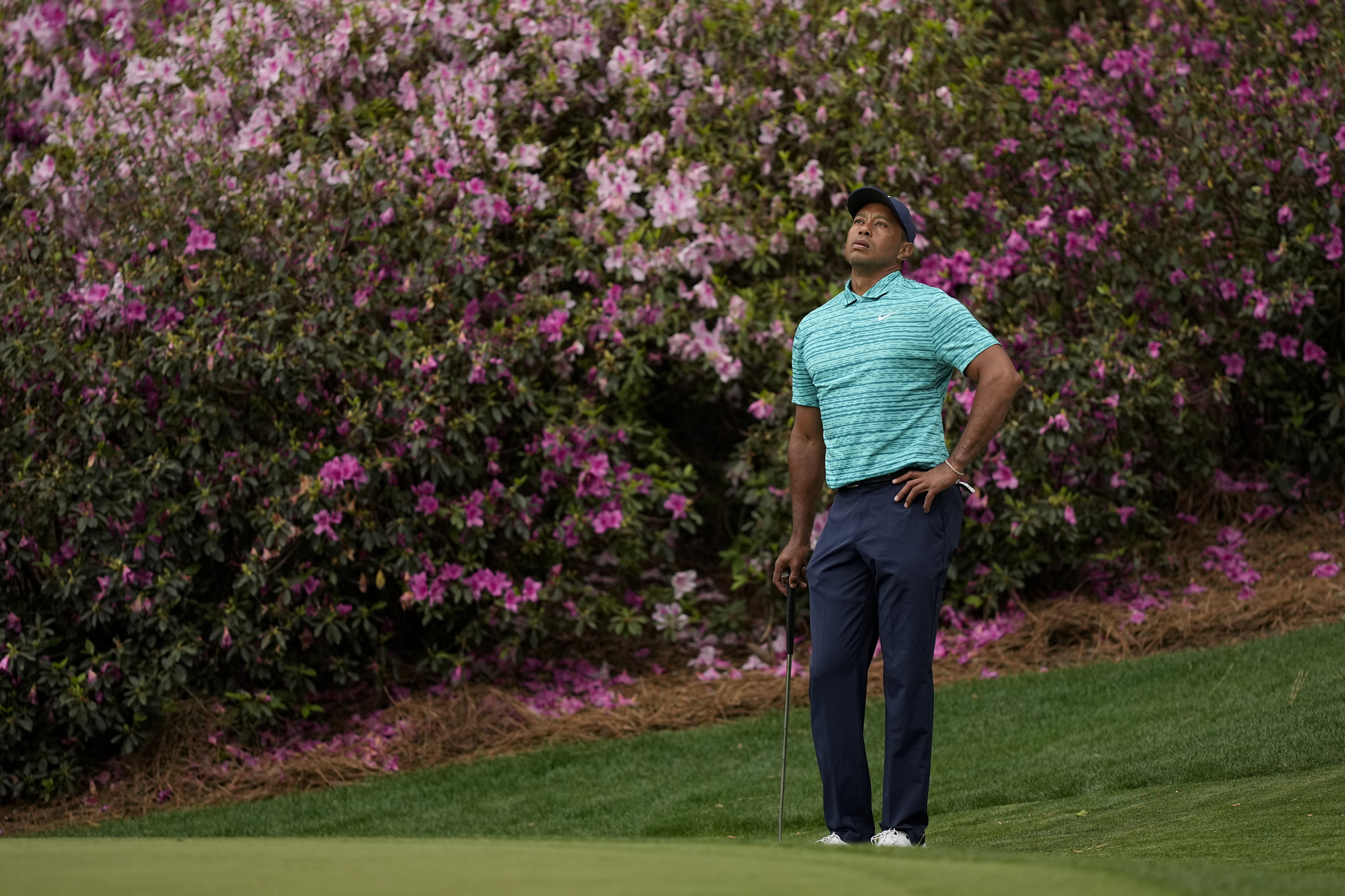 Tiger Woods waits to putt on the 13th green during the second round at the Masters golf tournament in Augusta. Photo: AP