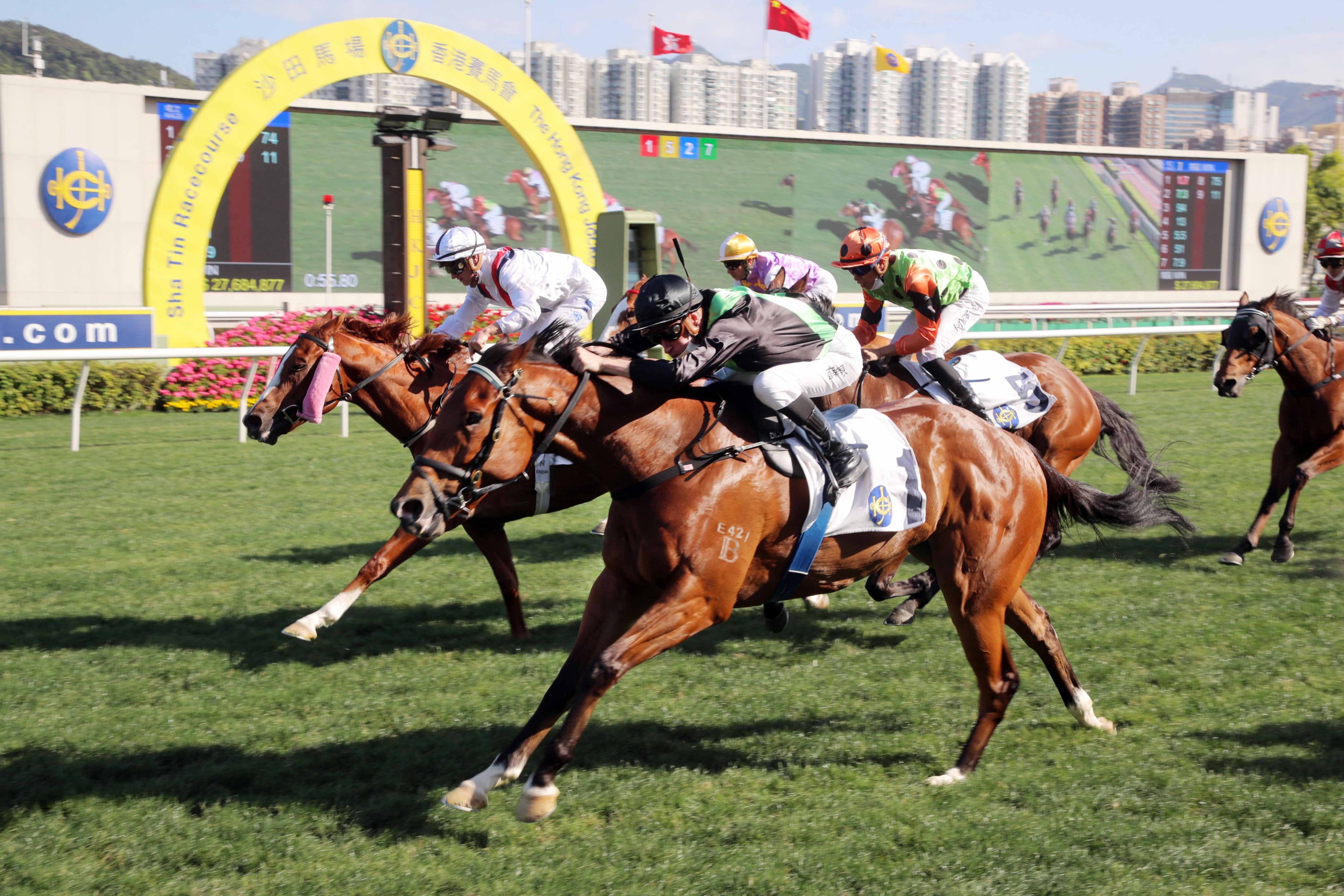 Nervous Witness fights off Stoltz to win at Sha Tin. Photo: HKJC