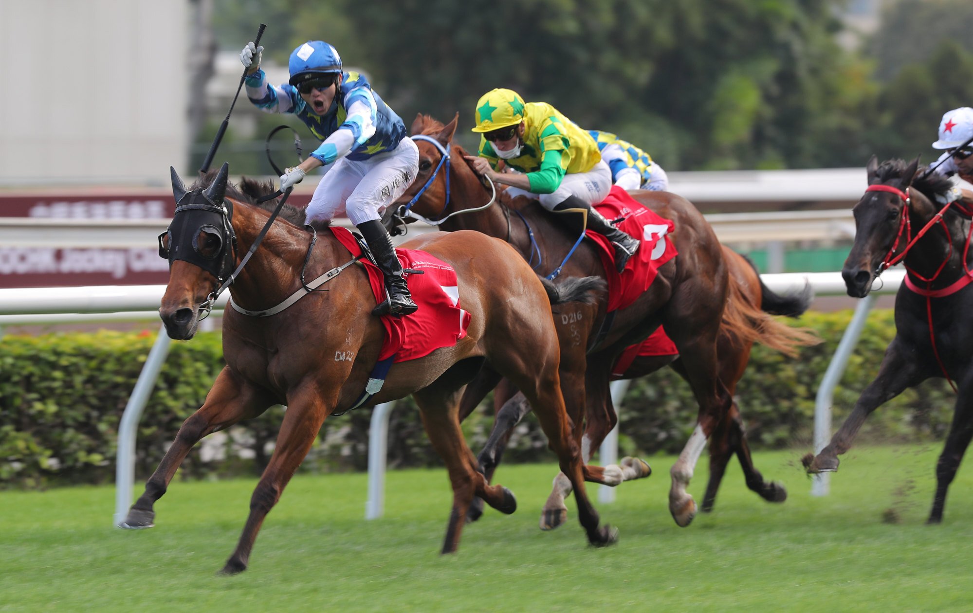 Lucky Patch is among the Champions Day hopefuls stuck in Conghua. Photo: Kenneth Chan