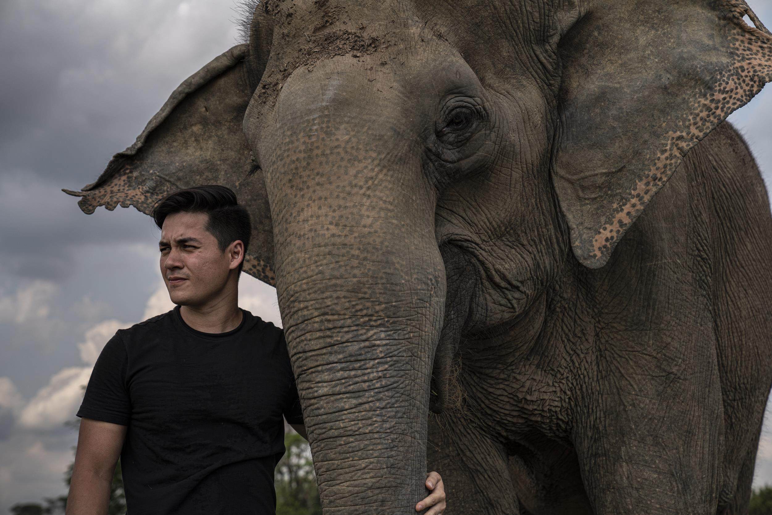 David-Jaya Piot with one of his elephants. Photo: Zalmai