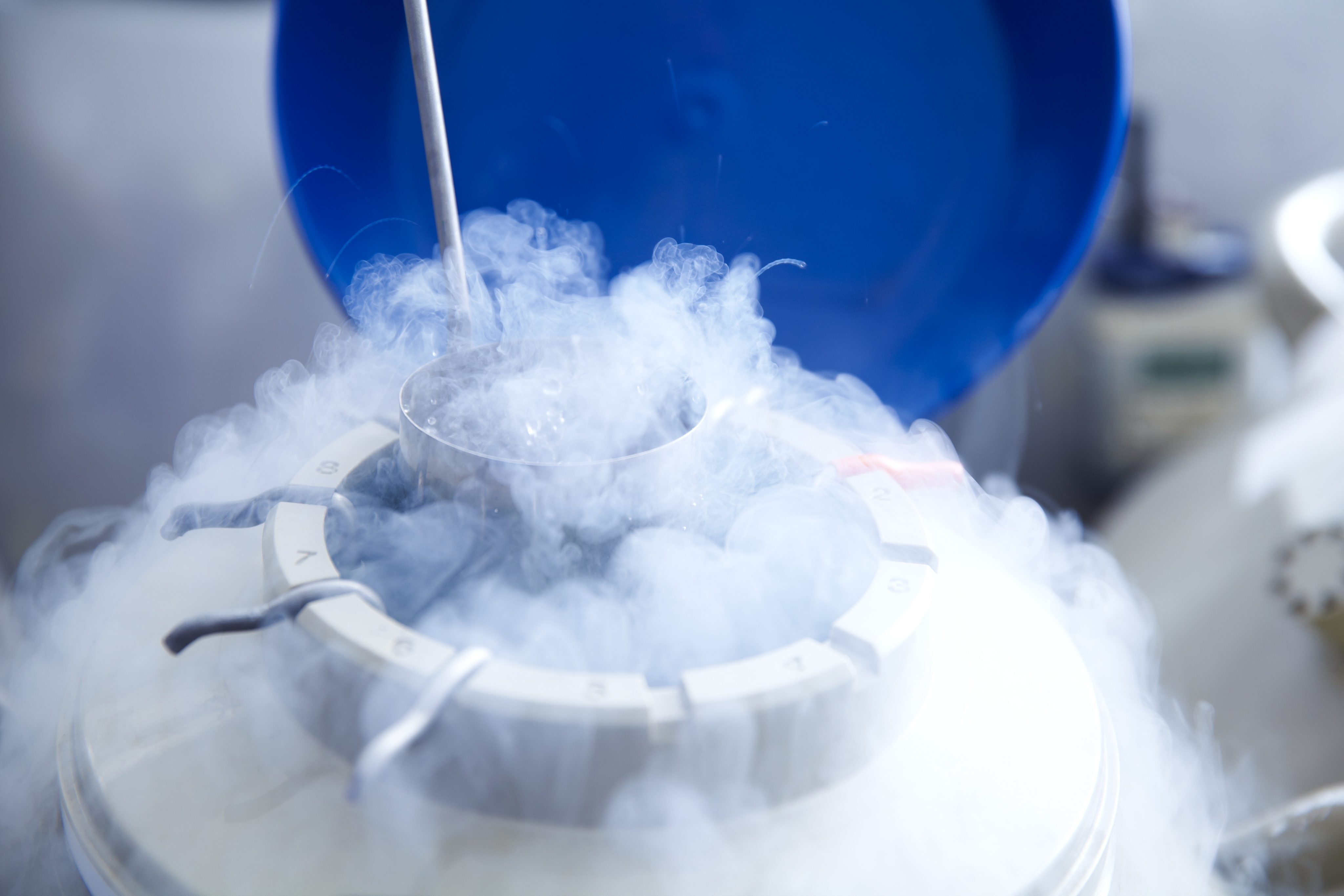 A tube of eggs is placed in cryogenic storage to be used for in vitro fertilisation (IVF). Photo: Getty Images