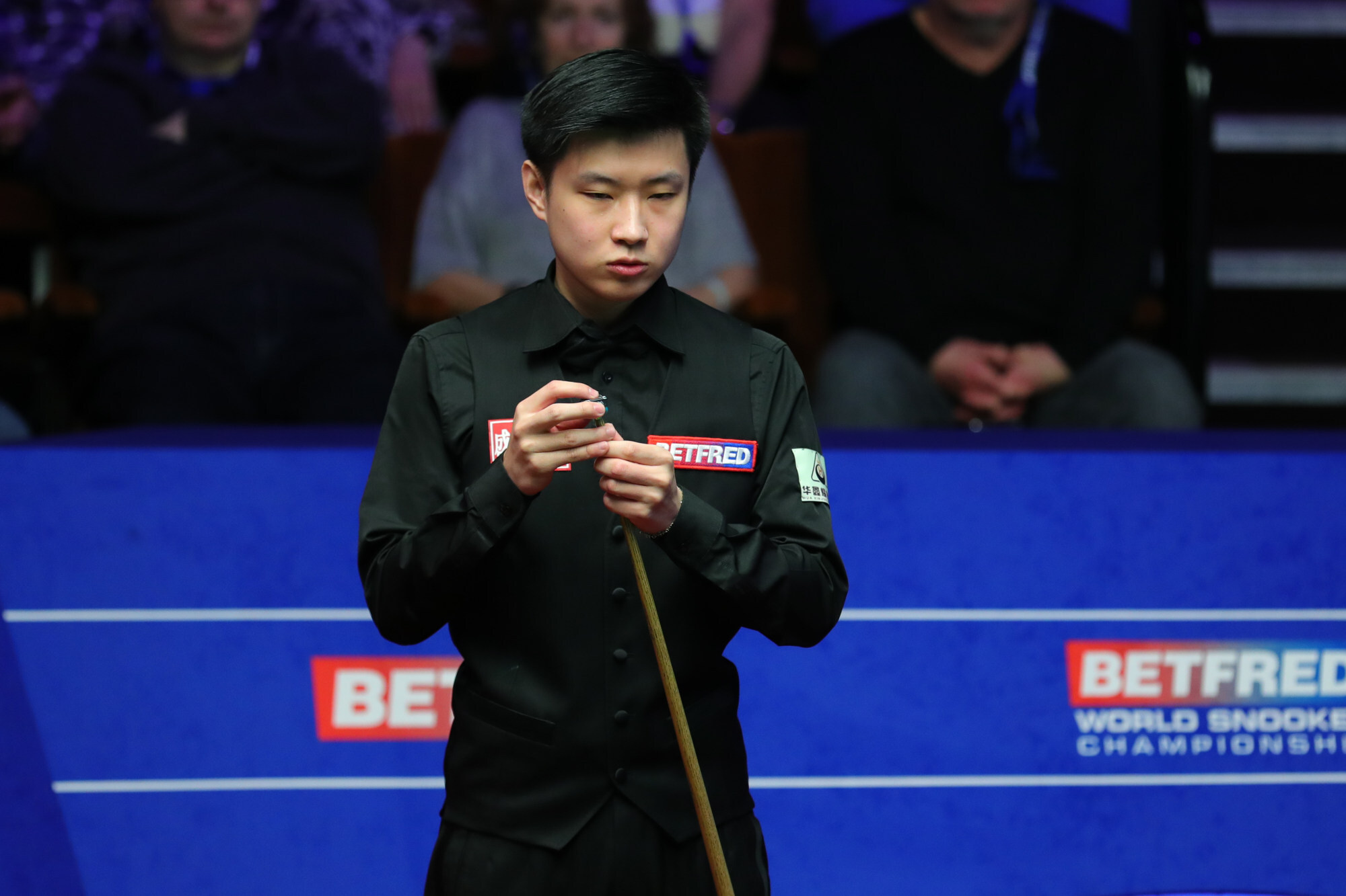 World Championship 2022 Chinas Yan Bingtao homing in on victory over champion Mark Selby after pigeon storms Crucible South China Morning Post