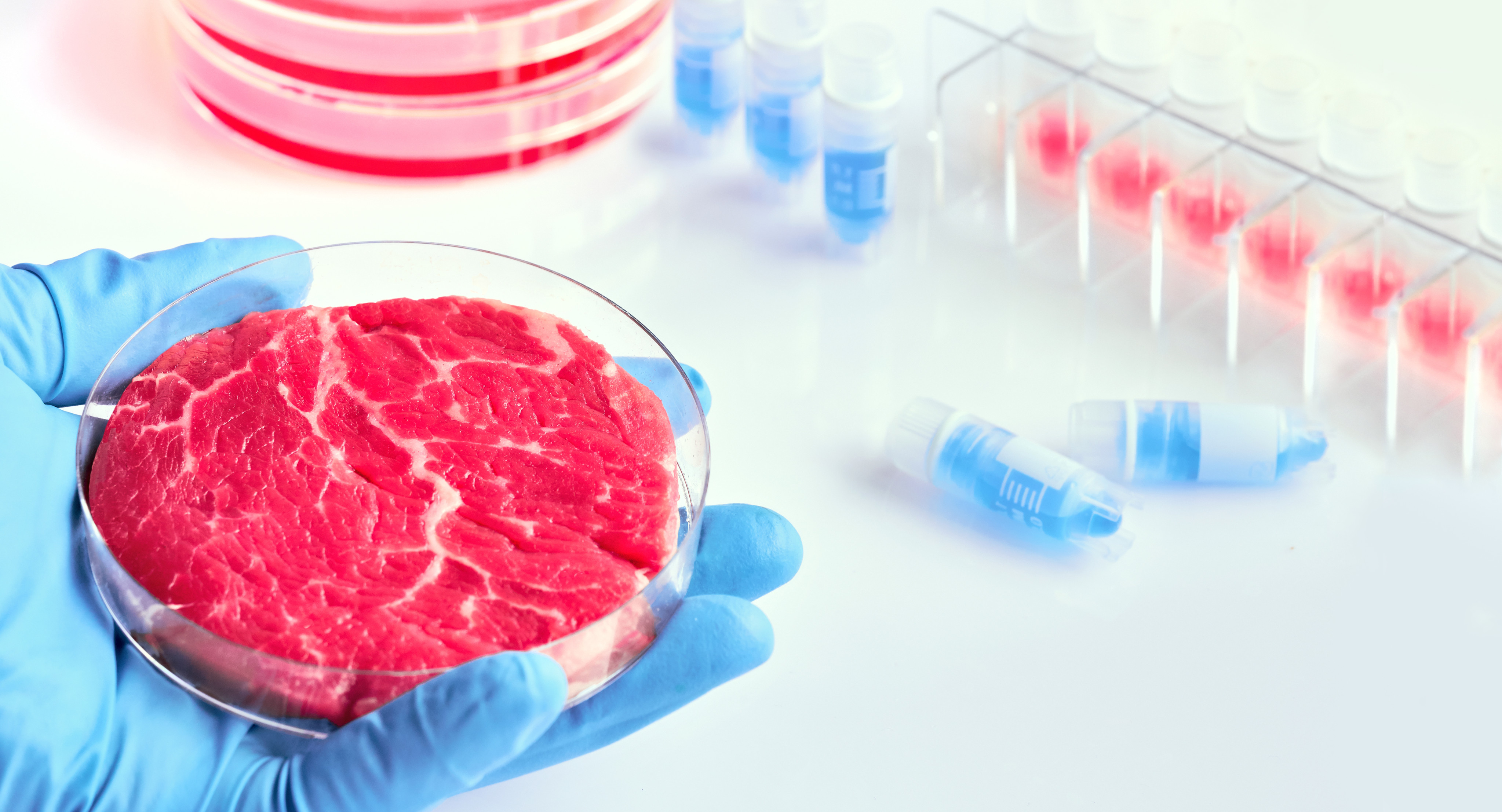 China’s alternative protein market, which includes cultured meat, is expected to see rapid growth in the coming years, but high consumer expectations could still be an impediment. Photo: Shutterstock