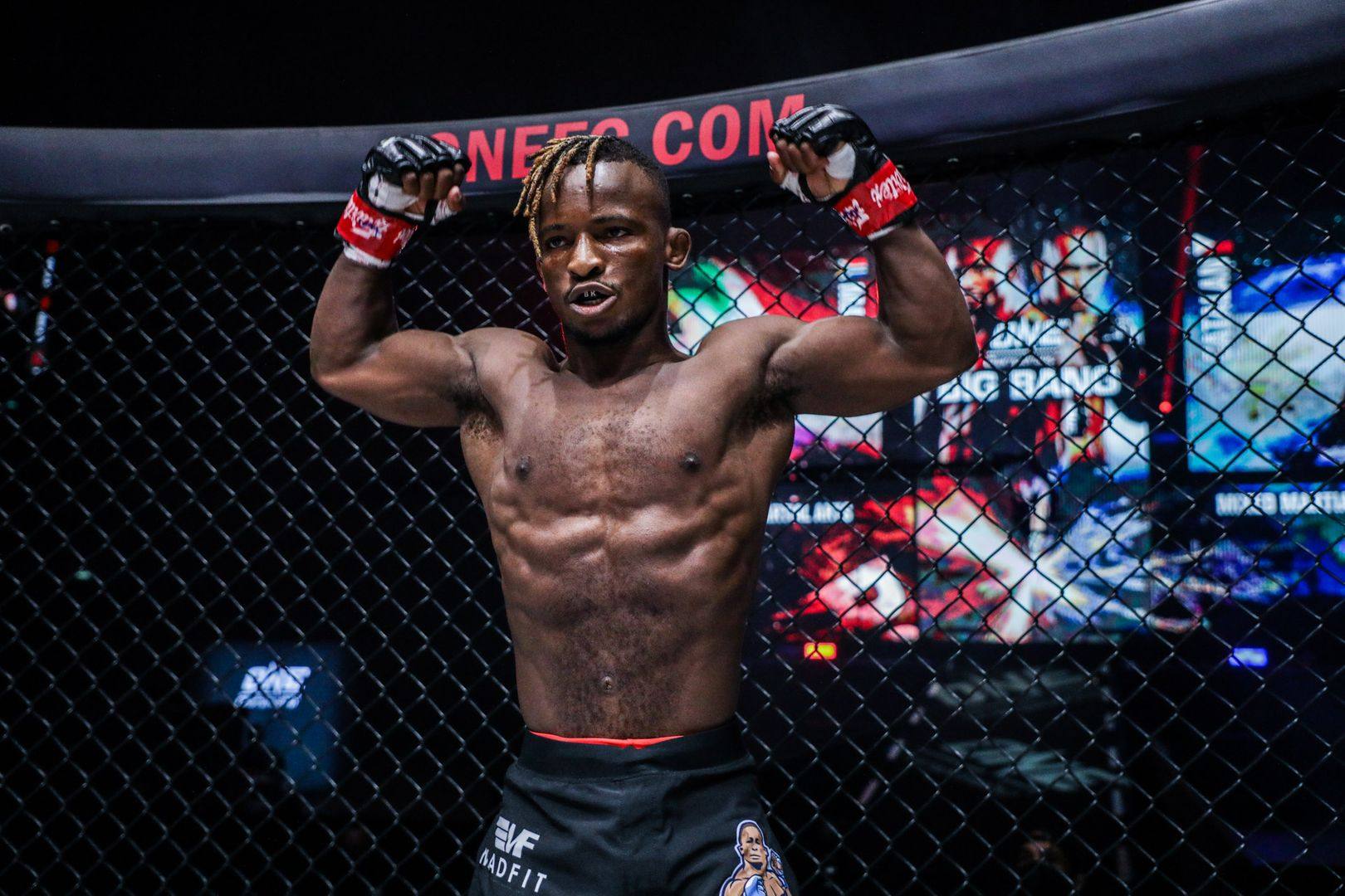 African mixed martial arts fighters in the Ultimate Fighting Championship  spotlight