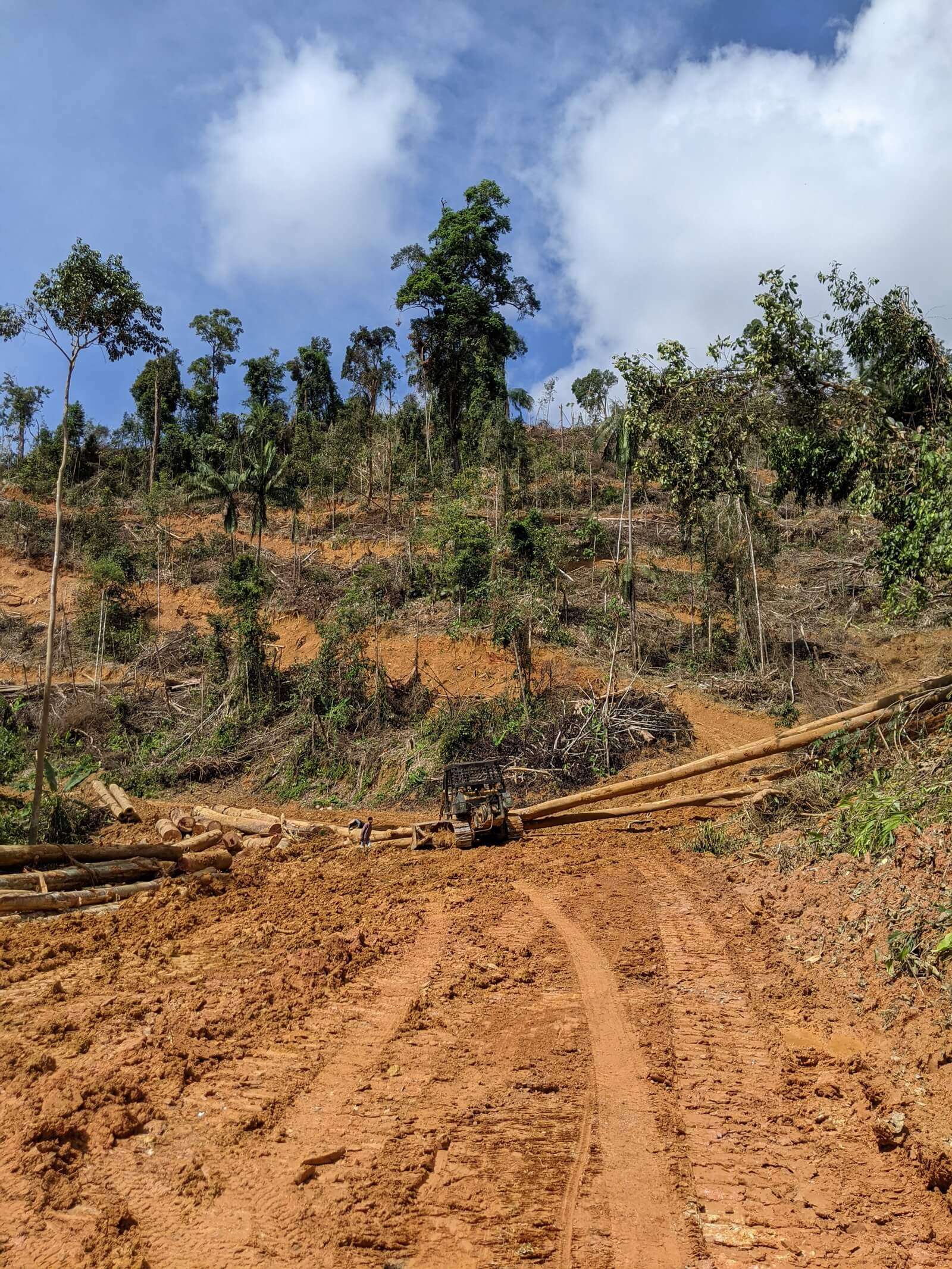 A site west of Kampung Kaloi is cleared to become a rubber plantation. Photo: Yao-Hua Law