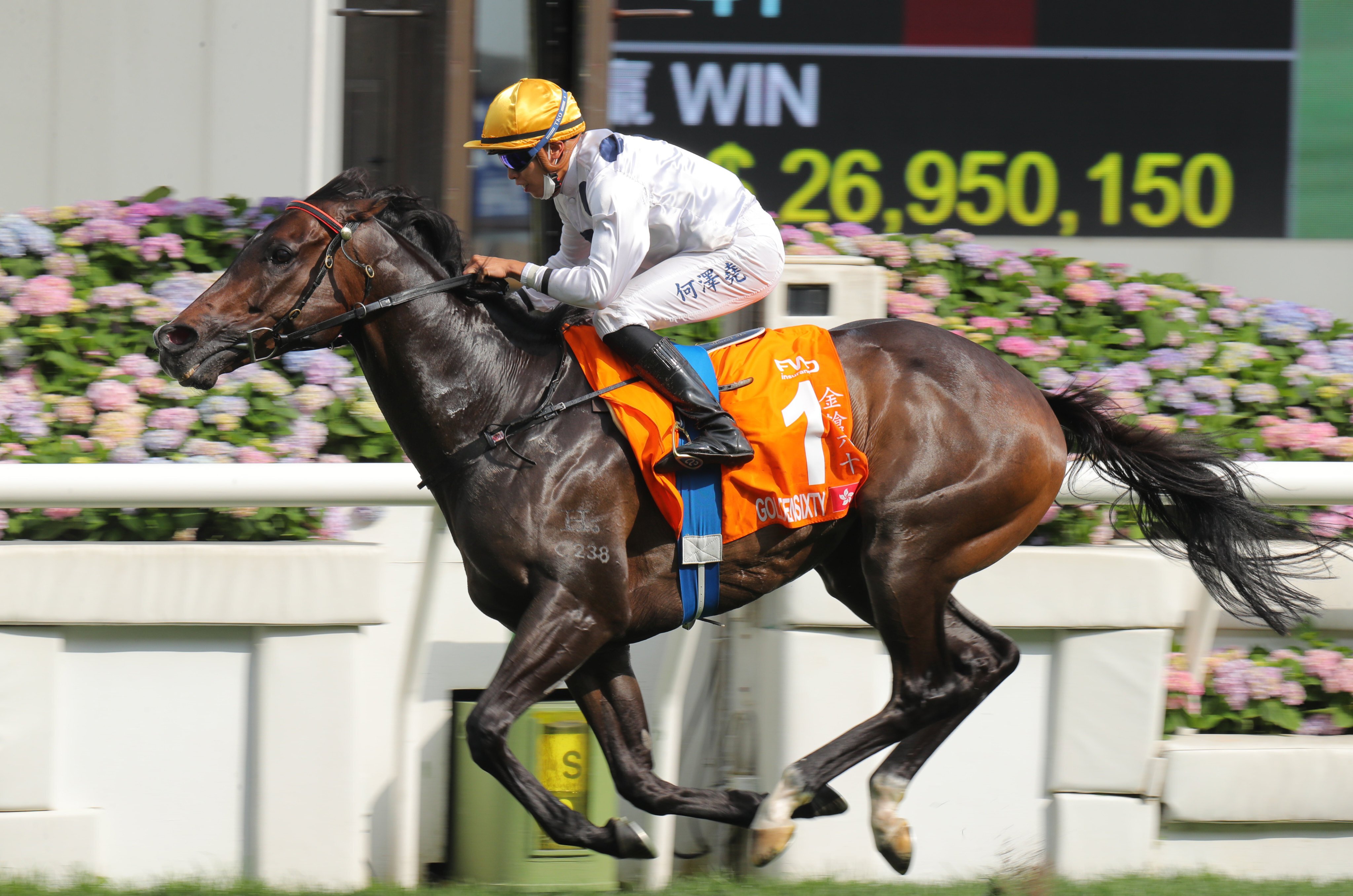 Golden Sixty wins the Champions Mile under Vincent Ho. Photos: Kenneth Chan