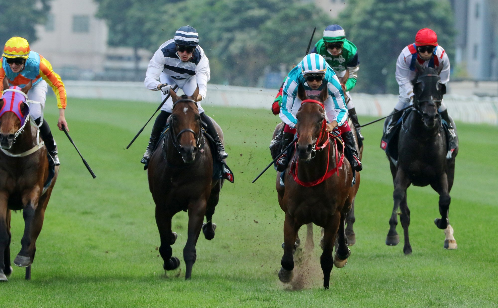 Romantic Warrior (light blue silks) surges to victory.