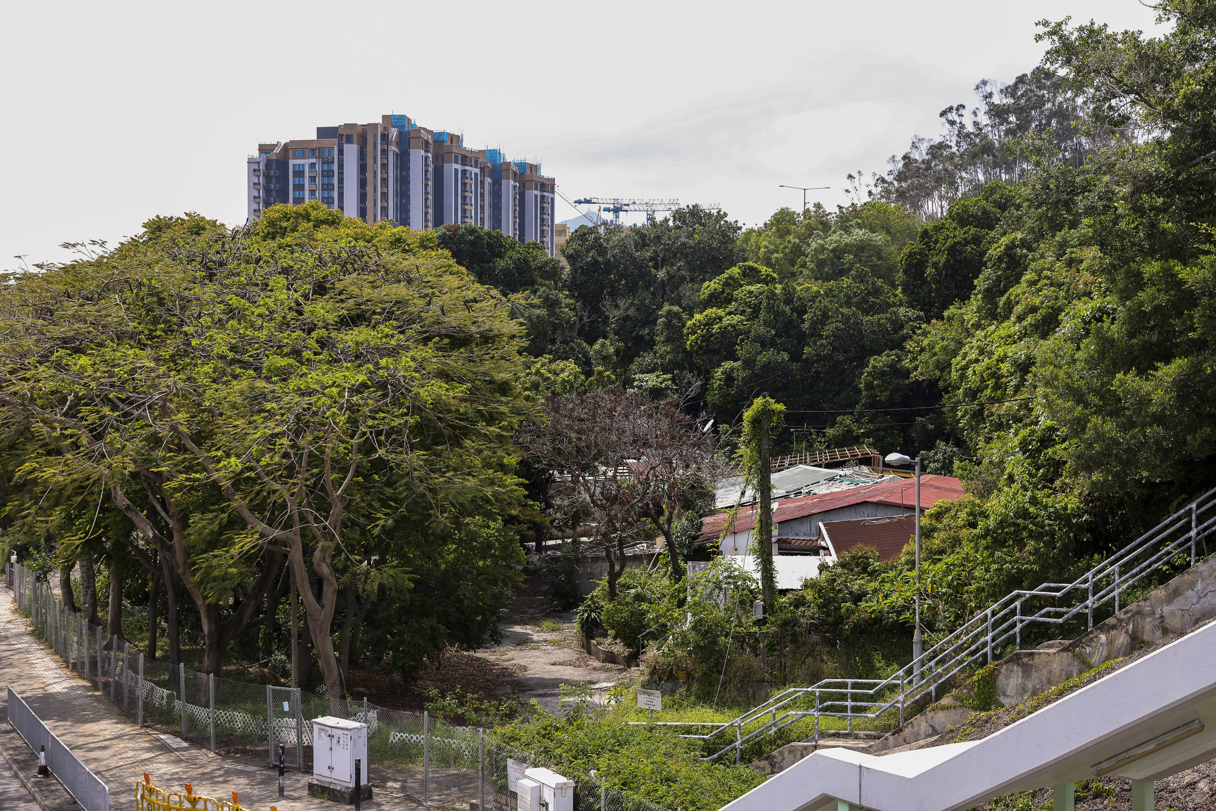 A leading developers’ association says the government’s rejection of bids for the Tuen Mun site is unrelated to Hong Kong’s minimum flat size requirement. Photo: K. Y. Cheng