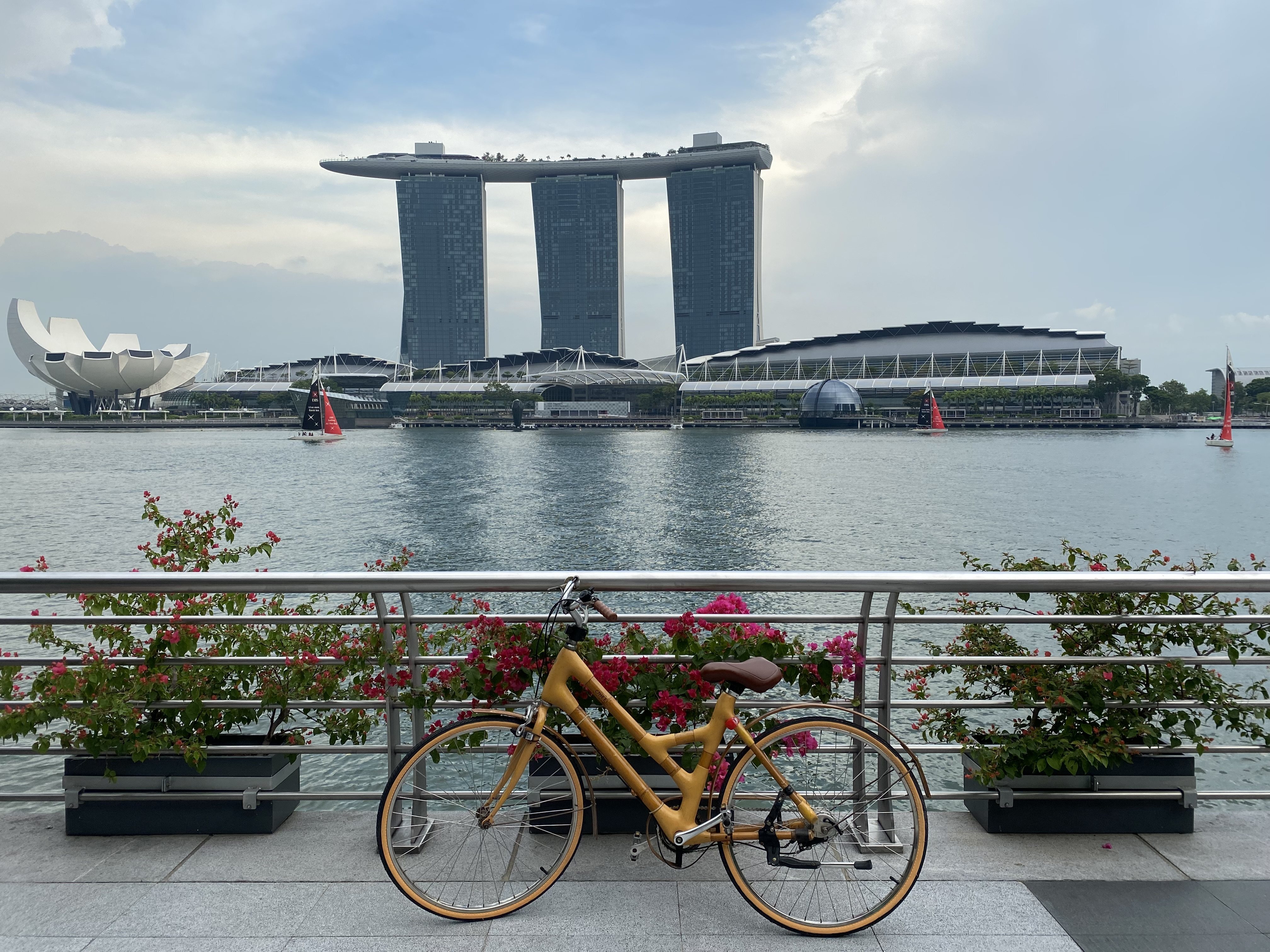 A 500km network of new and improved cycle paths makes it an attractive pursuit for visitors and residents alike, who can take in views like this one of Marina Bay. Photo: Tamara Hinson
