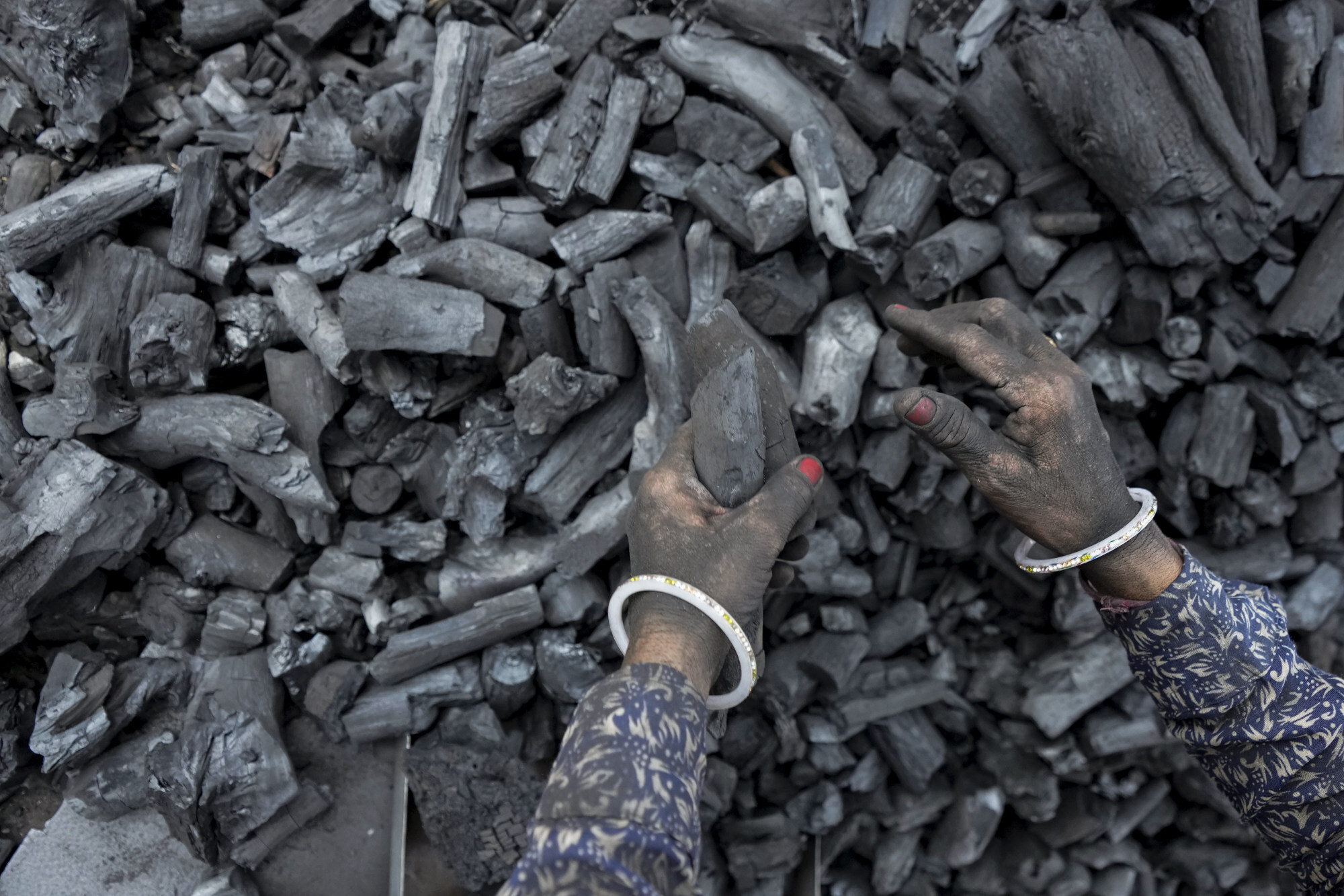 Steam coal buyers фото 114