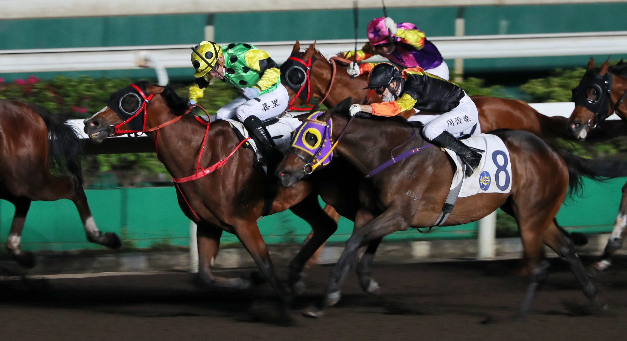 Touch Faith (left) holds off General Trump under Luke Currie.