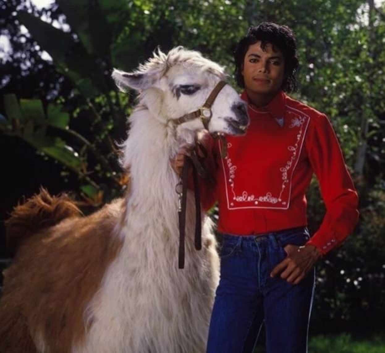 How did Michael Jackson spend his millions? The King of Pop splurged on  Neverland Ranch, his own zoo, arcade and theme park, Johnny Depp's  scissorhand gloves and a Bruce Lee statue |'s  scissorhand gloves and a Bruce Lee statue |