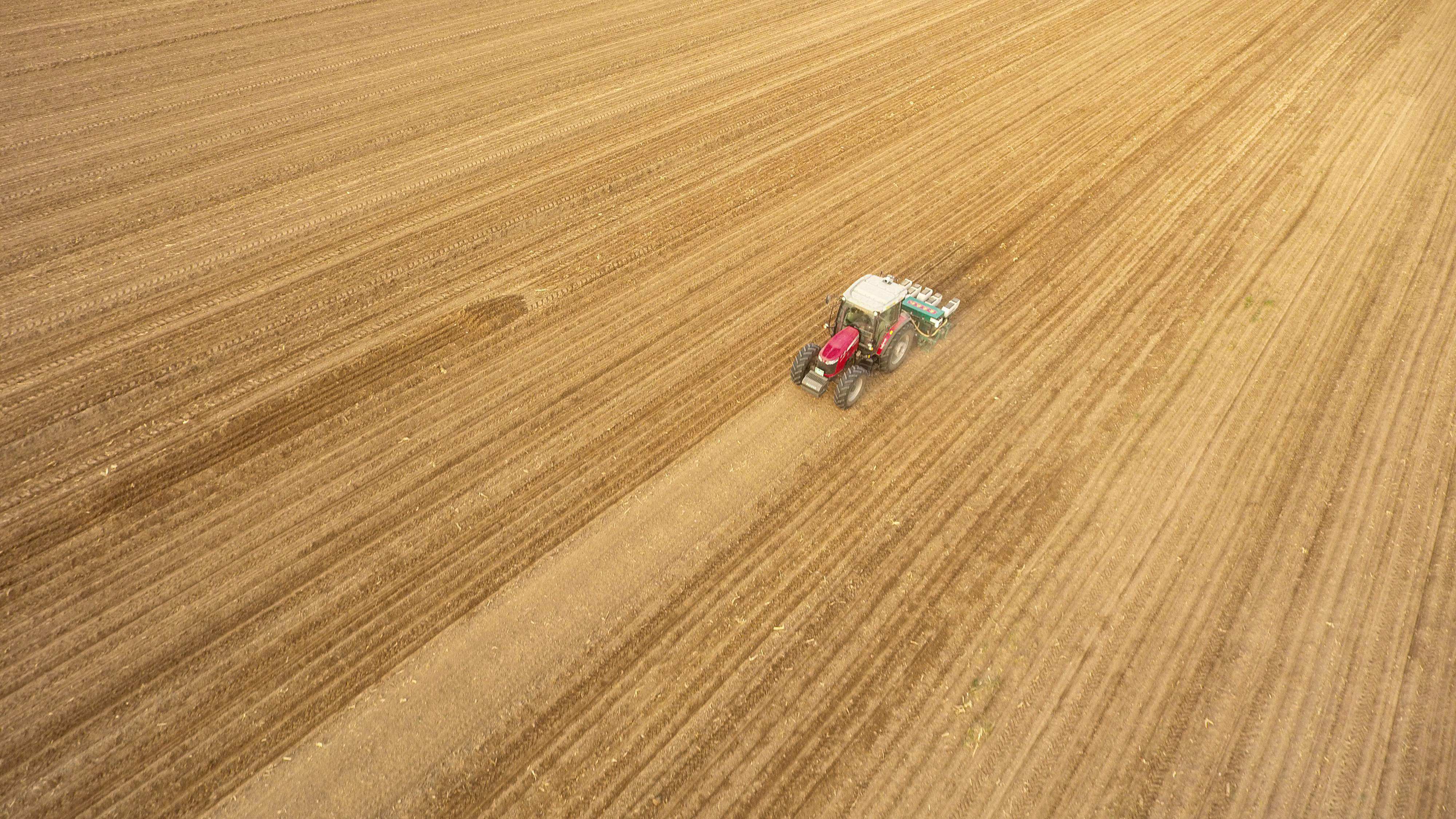 China has listed soybean expansion as “a major political task to be accomplished” in 2022, with domestic soybean output expected to rise by 26 per cent to 20.6 million tonnes this year. Photo: AFP