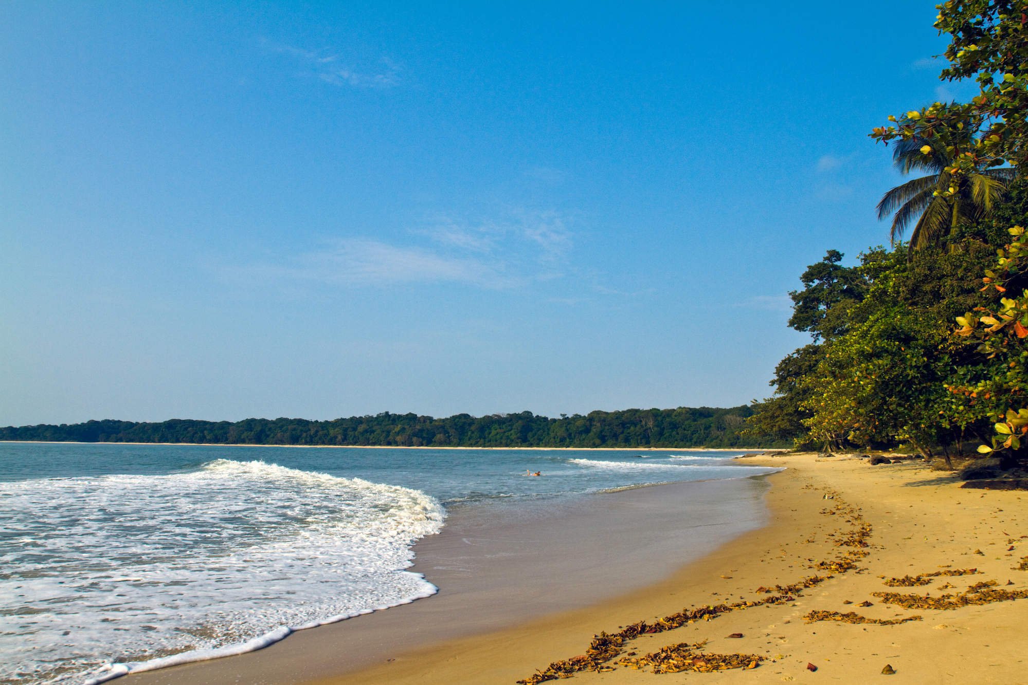 A beach in Pongara National Park in Gabon. Kitchen says “Gabon has the best beaches”. Photo: Getty Images