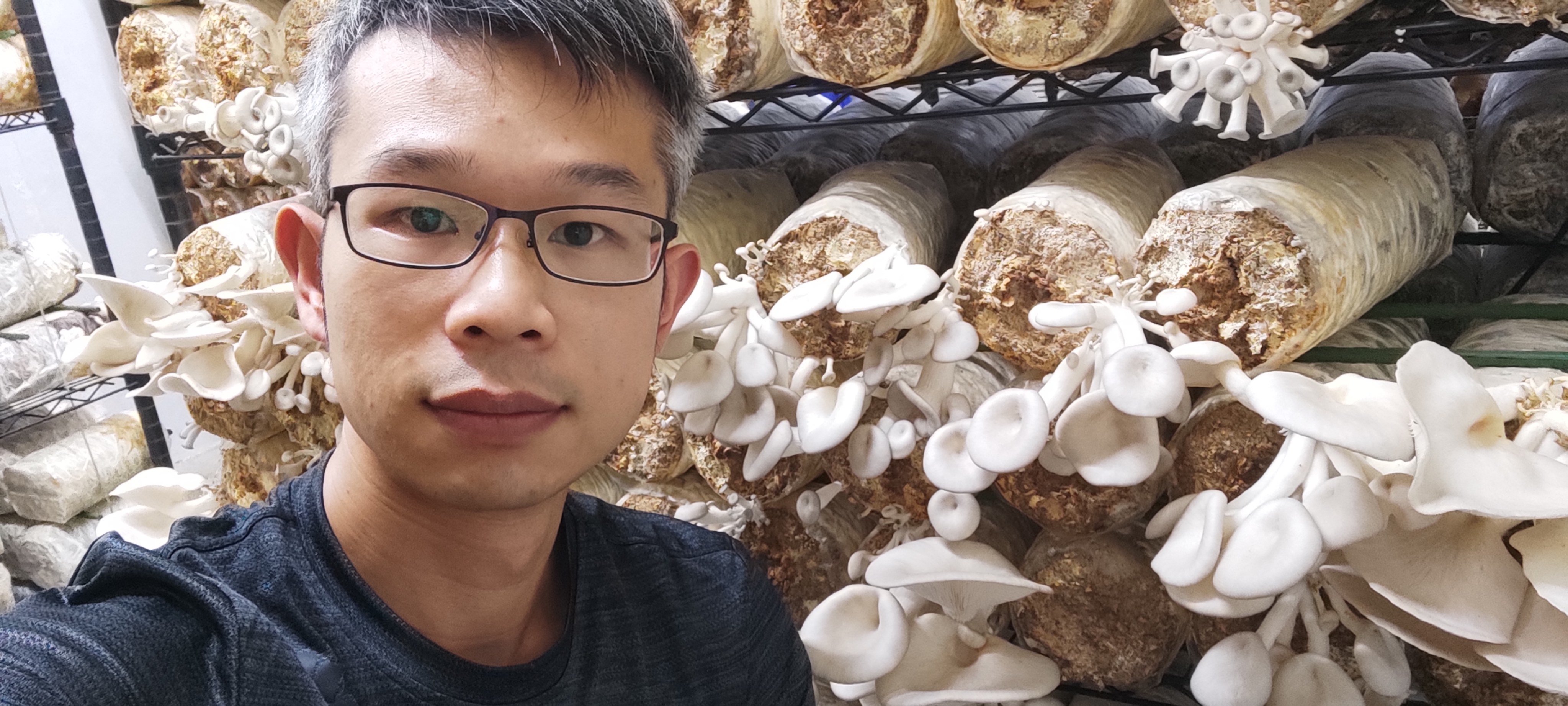 Russell Kong, founder of Urban Mushroom, is trying to harvest edible fungus in the most eco-sensitive method possible