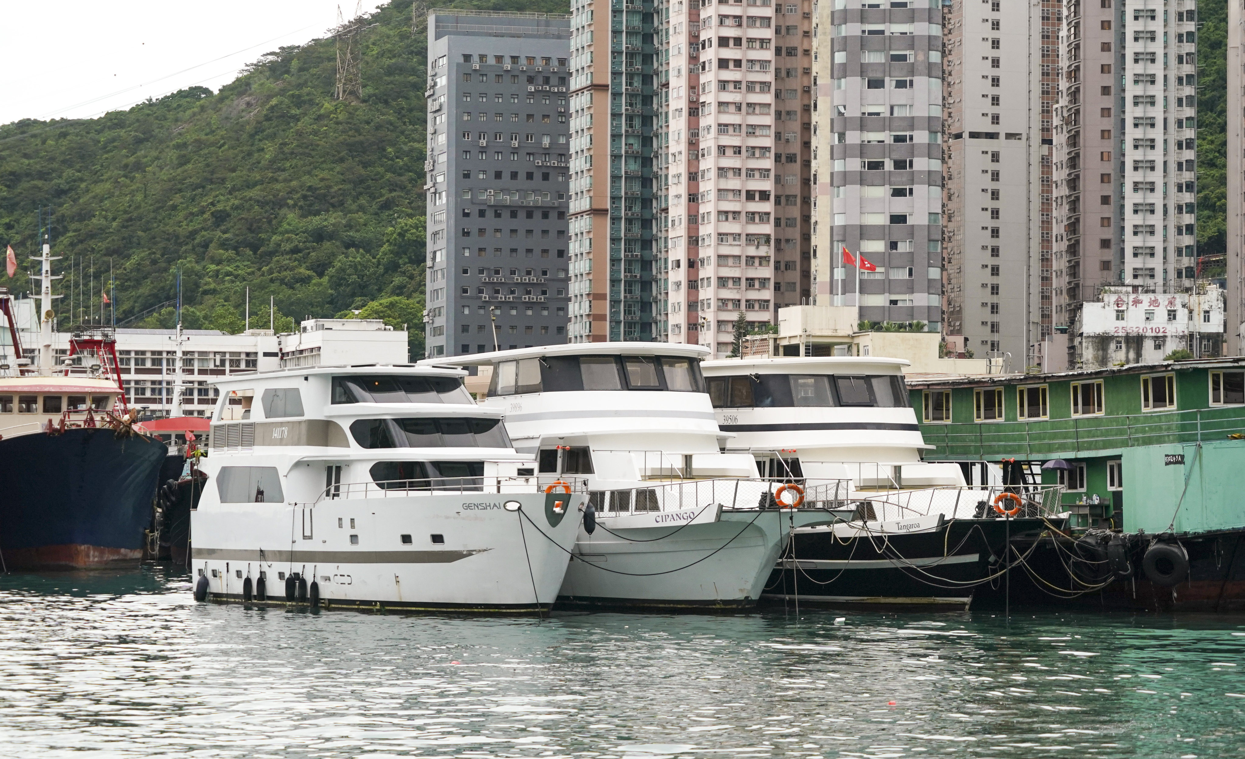 Controversy over the use of houseboats as guest houses was ignited this week when authorities were accused of not doing enough to stop the “rampant illegal business”. Photo: Felix Wong