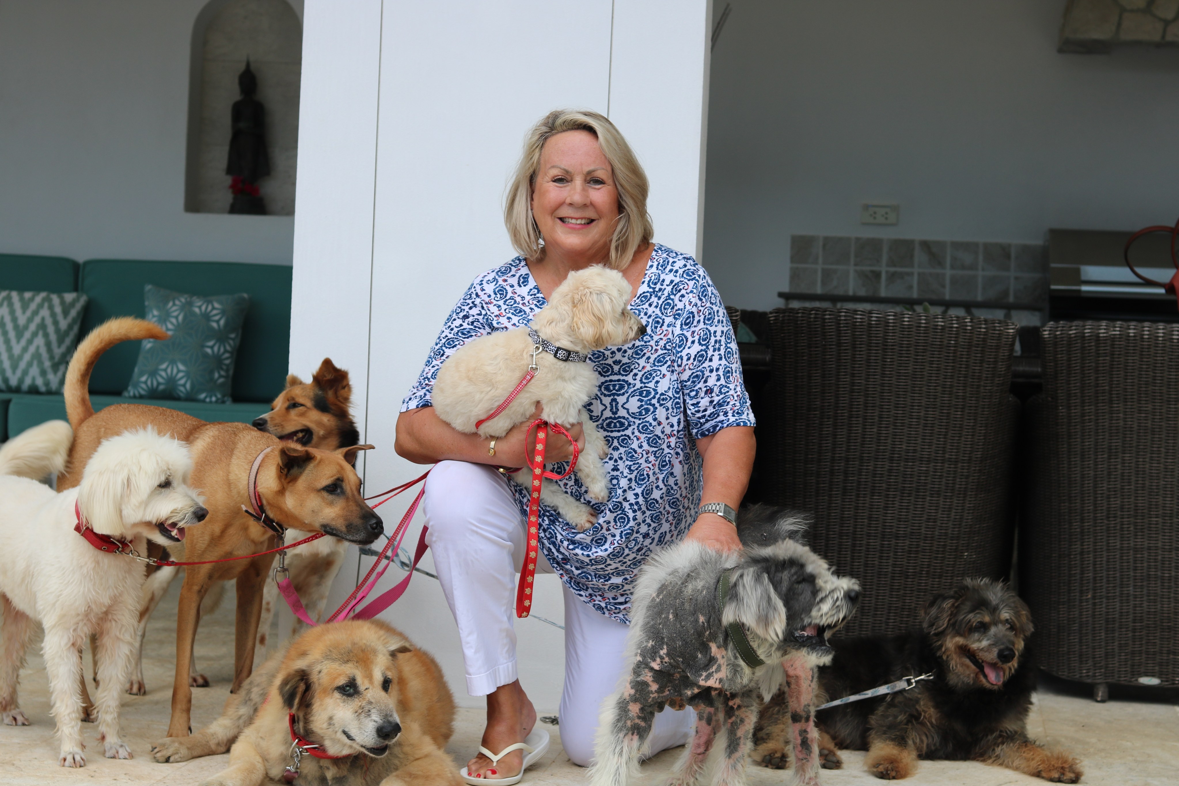 Susan Field is an ex-Hong Kong resident who ran the PR company ImpactAsia. She now lives in Thailand, with eight rescue dogs. Photo: Thomas Bird