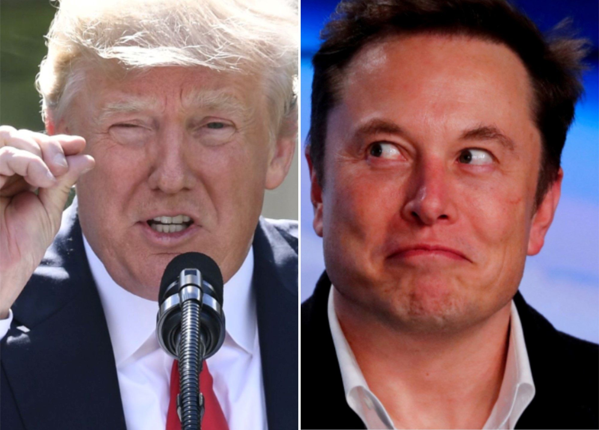Do Donald Trump and Elon Musk actually like each other? Sometimes it can be hard to tell. Photos: AFP, Reuters