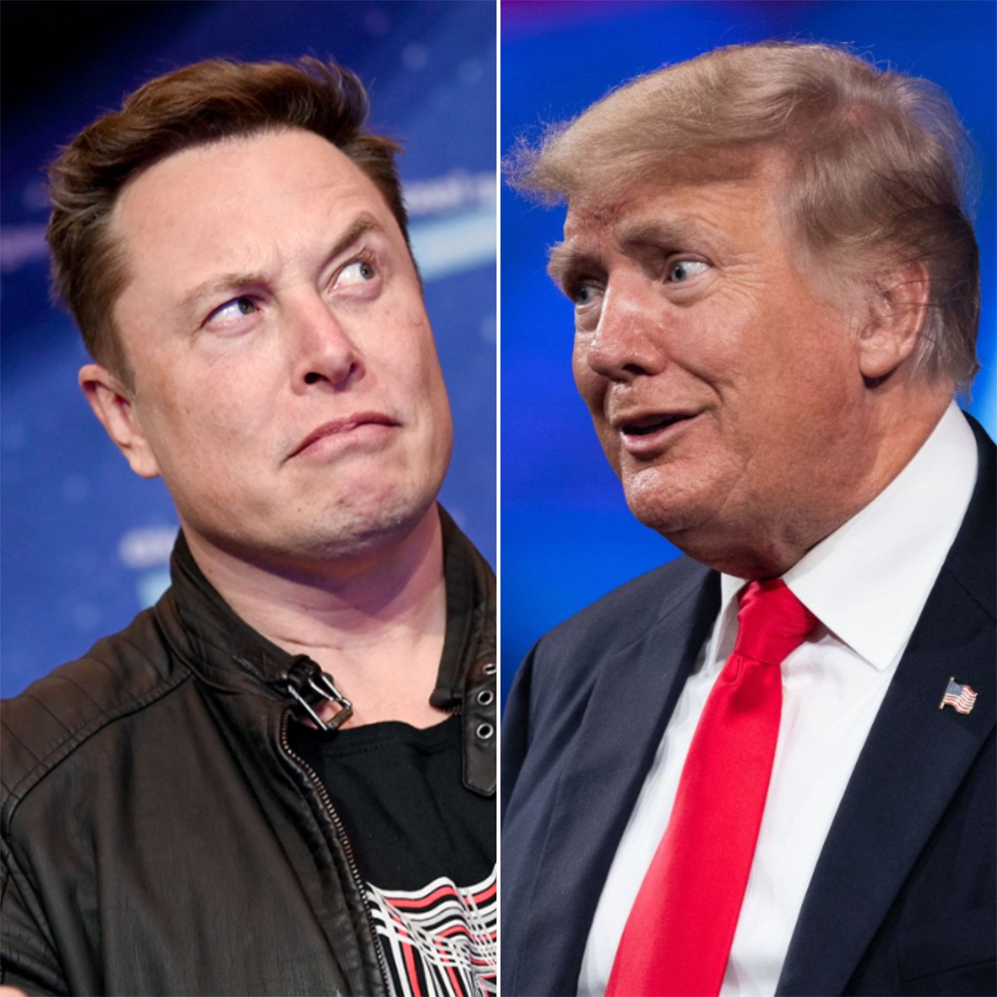 Inside Elon Musk And Donald Trump’s Complicated Relationship: The Tesla ...