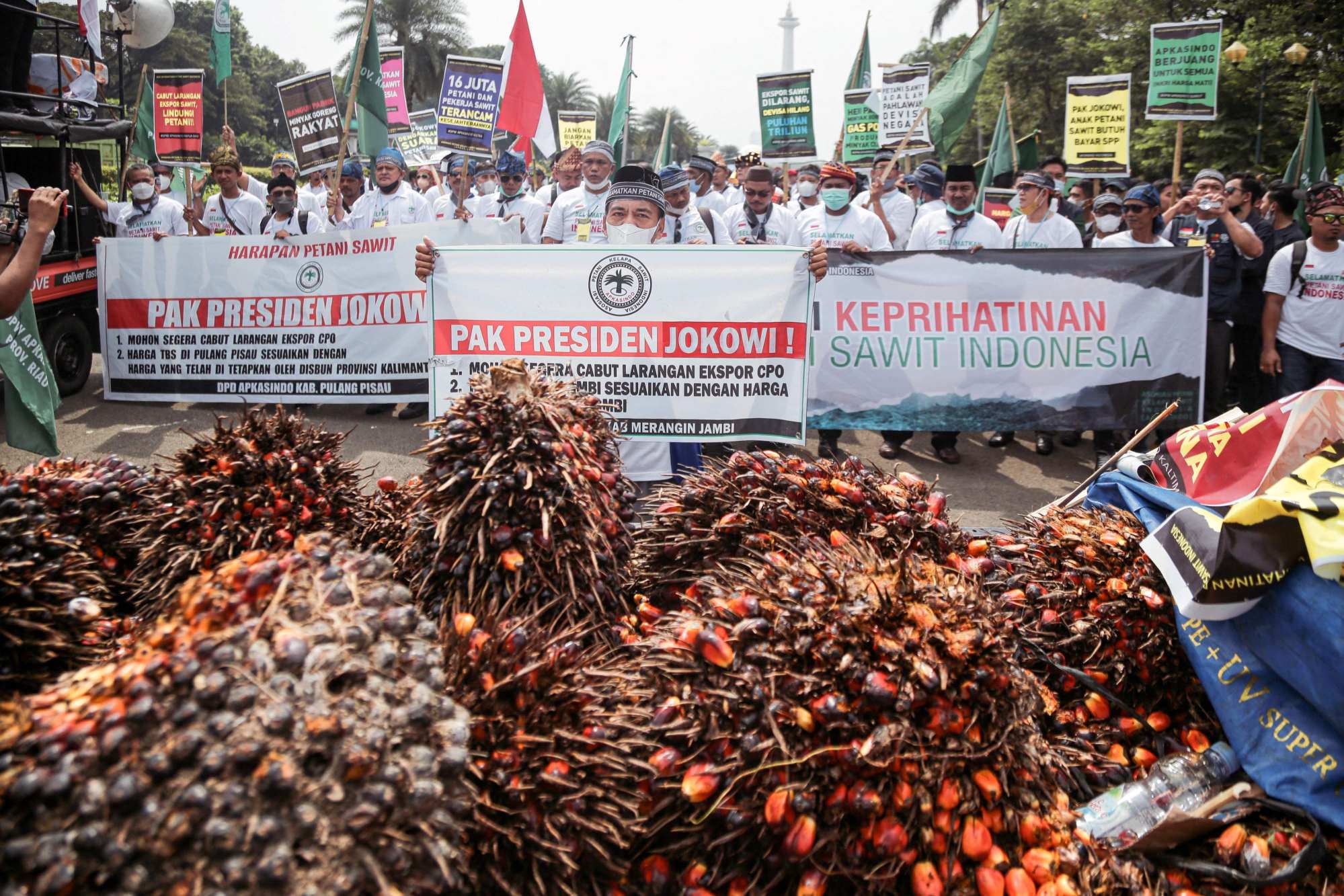 People from an Indonesian oil palm farmers’ association carry palm fruits during a protest against the government’s export ban policy, in Jakarta on Tuesday. Photo: AFP