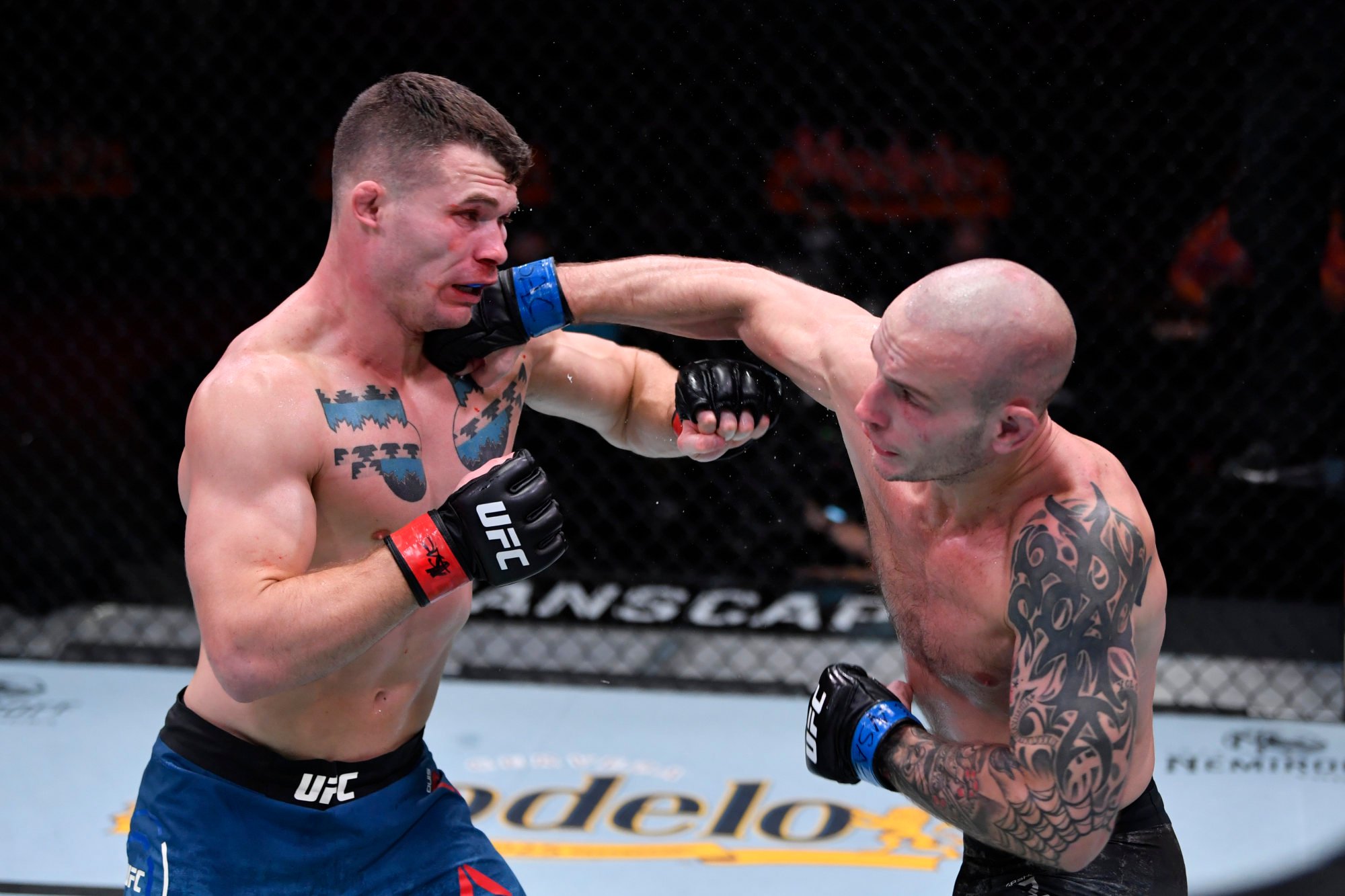 Sasha Palatnikov punches Louis Cosce in their welterweight bout at UFC 255. Photo: Getty Images