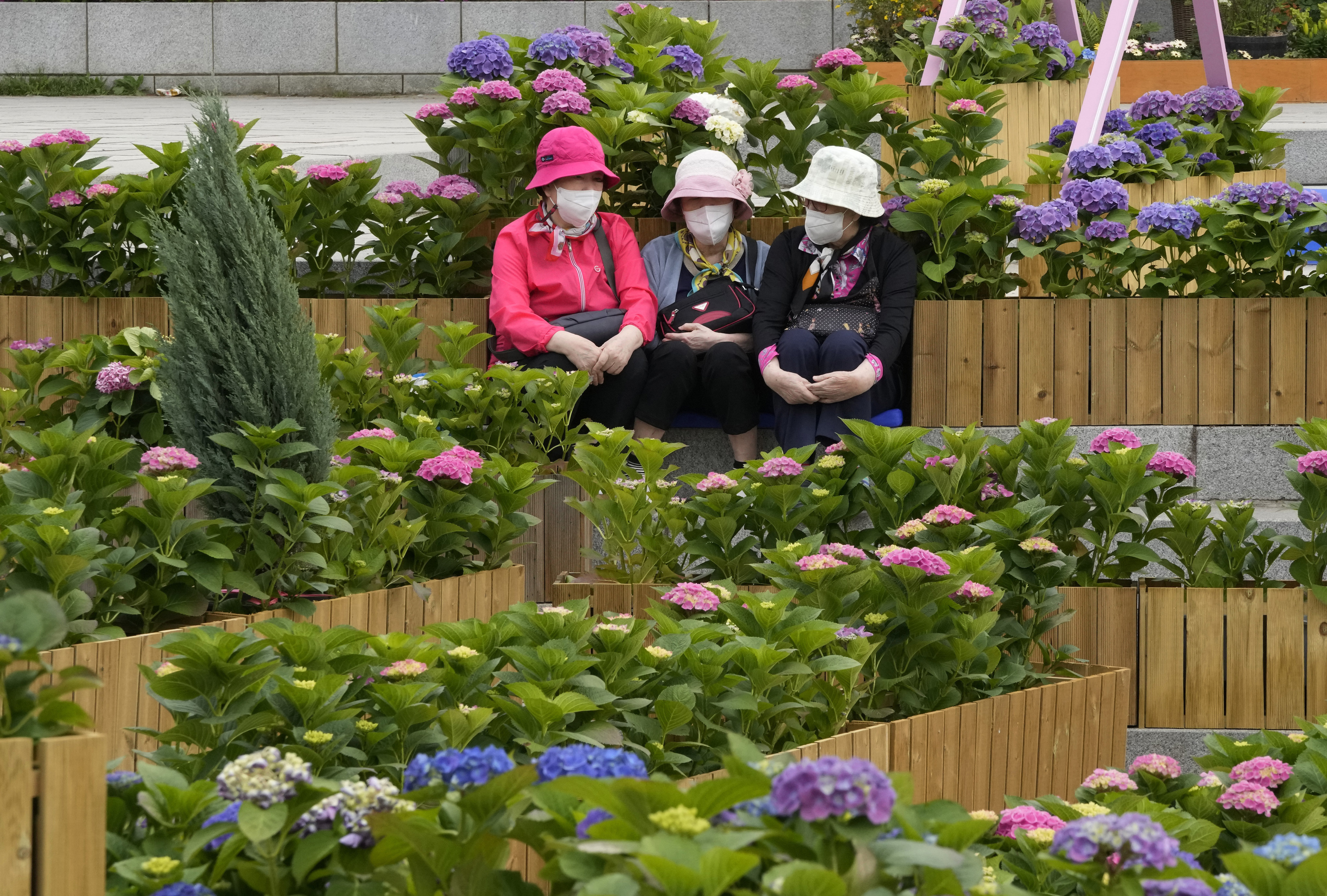Women wearing face masks to help curb the spread of the coronavirus sit in a flower garden at a park in Goyang, South Korea, on April 28. Photo: AP 