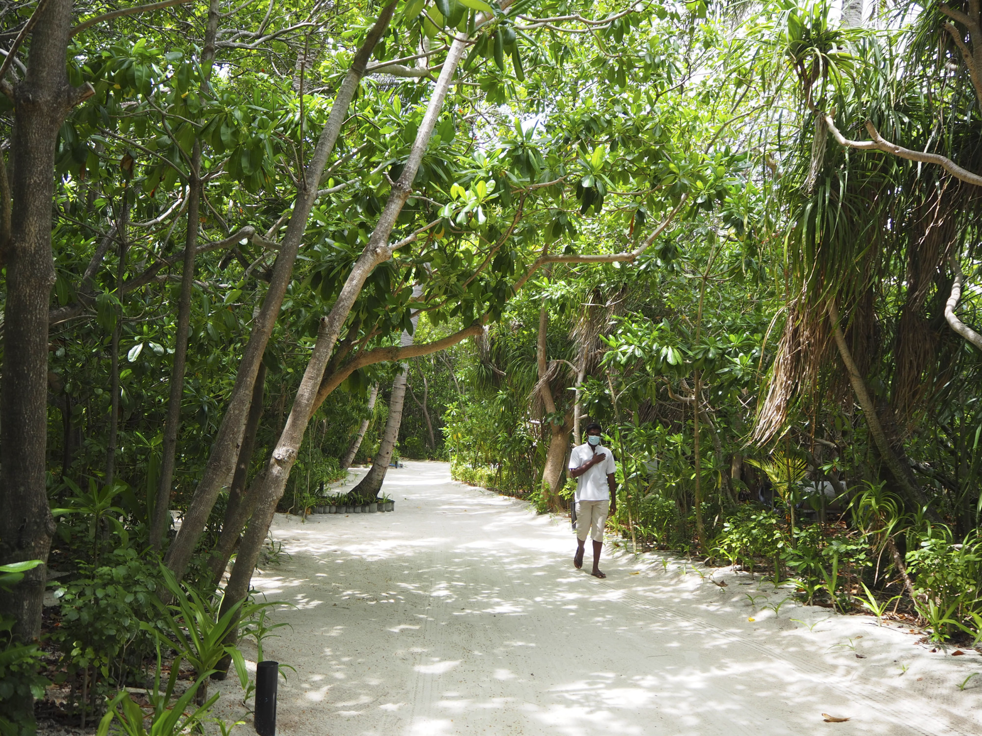 A member of staff giving the heart gesture on a leafy pathway, Conrad Maldives Rangali Island. Photo: Mark Footer