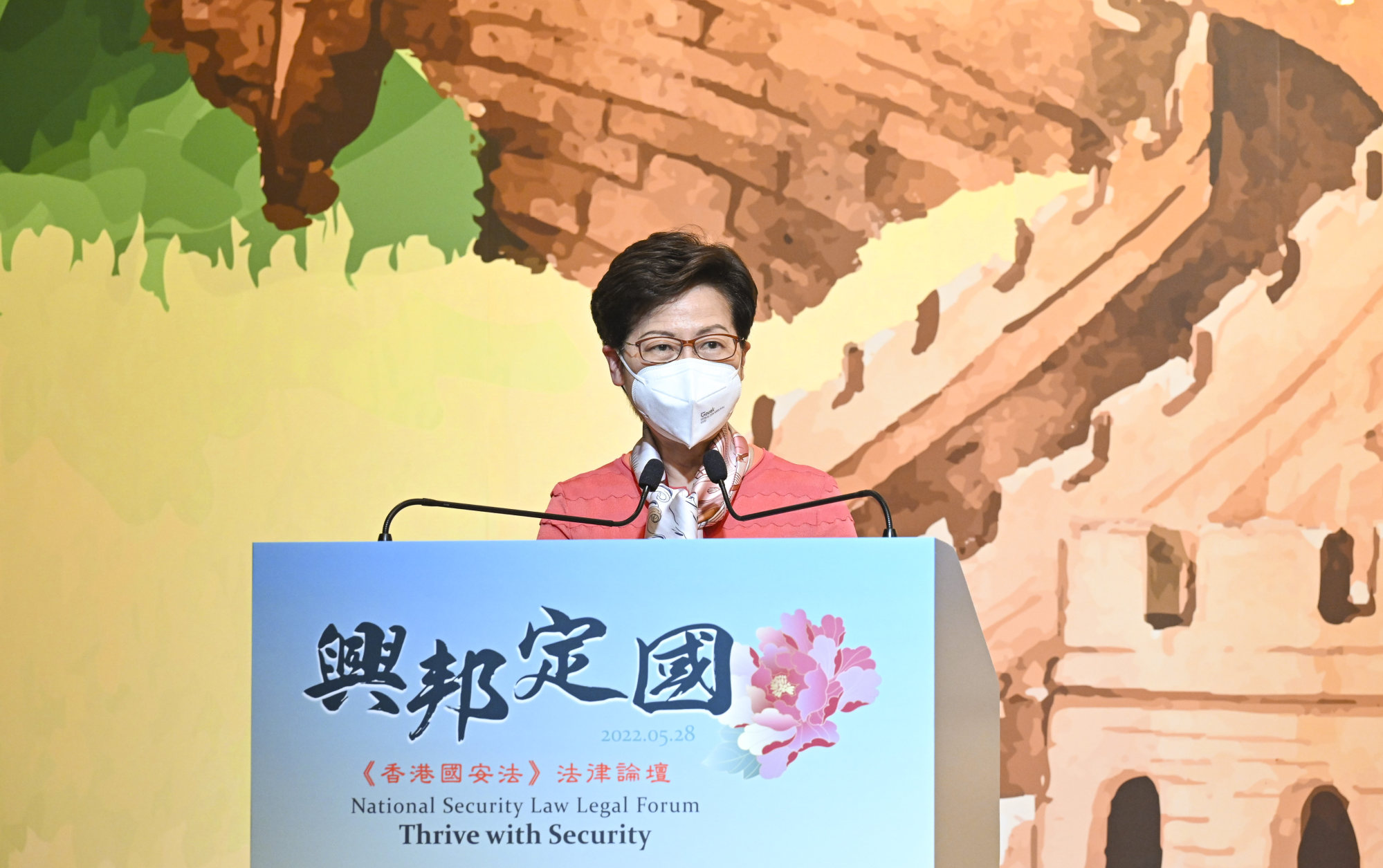 Hong Kong leader Carrie Lam speaking at the forum. Photo: Handout