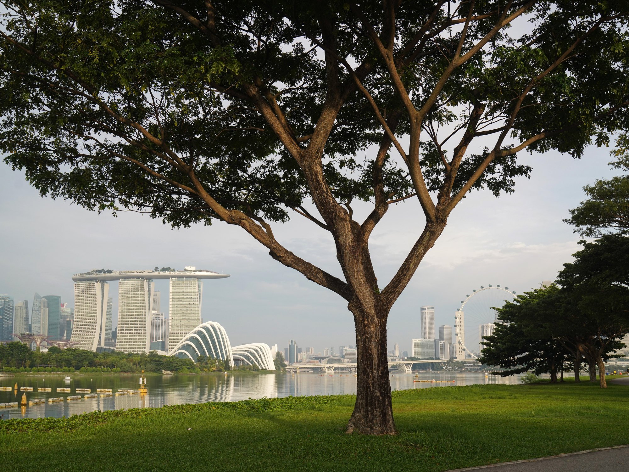 A park opposite the central business district at Marina Bay in Singapore, in October 2021. Photo: Bloomberg