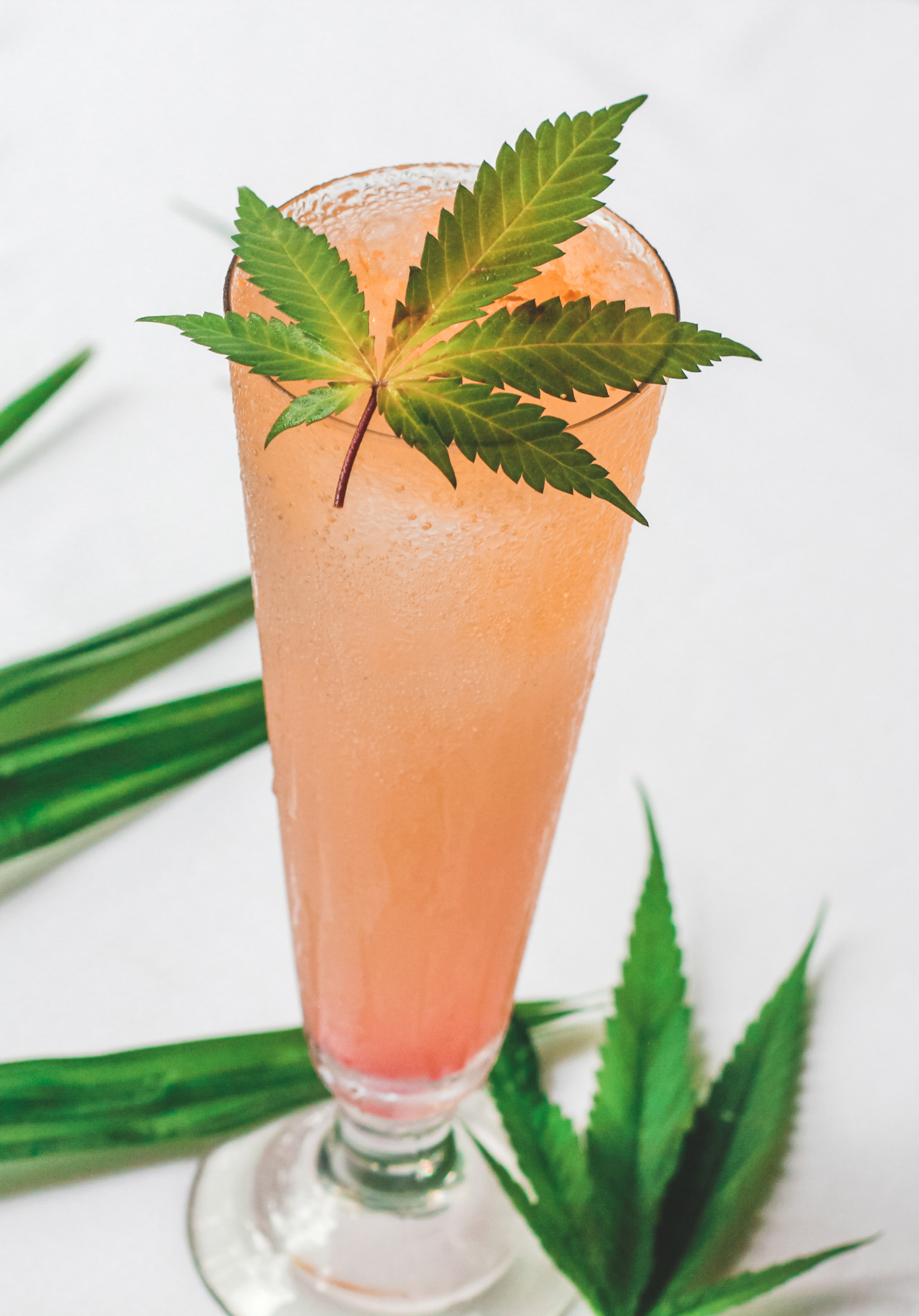 A Cannabis Fizzy at the Anantara Resort in Chiang Mai, Thailand. Photo: Ron Emmons