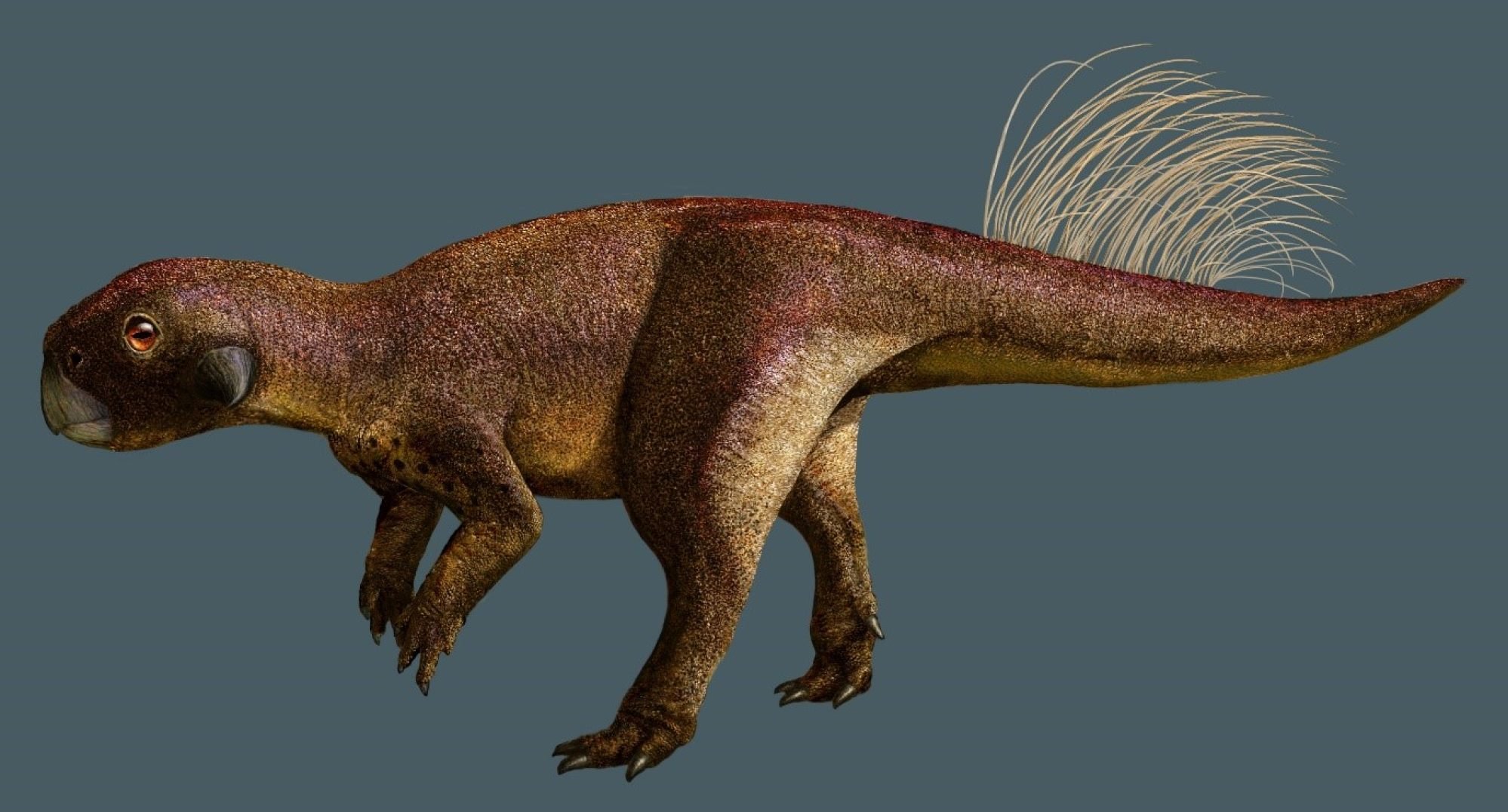 A newfound dinosaur had tiny arms before T. rex made them cool