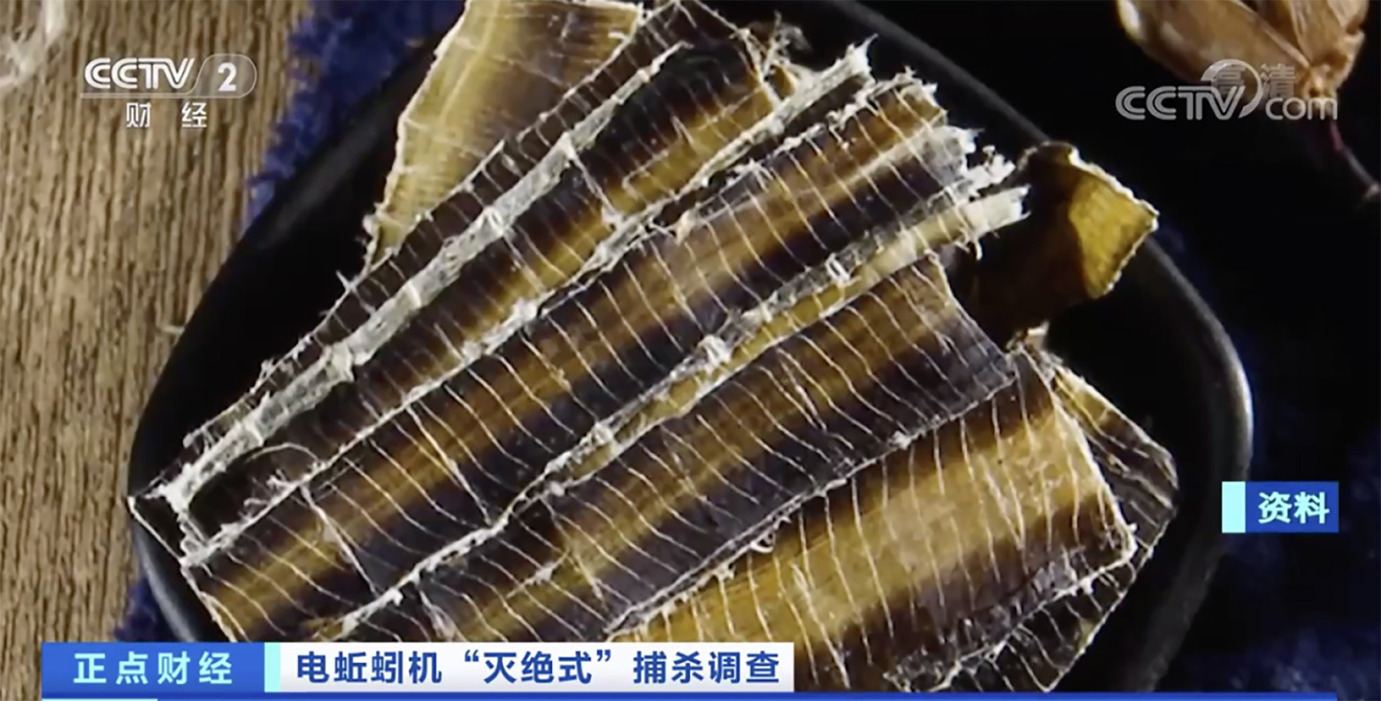 Dried earthworms are used in traditional Chinese medicine. In recent years, as their price has continued to rise, sales of a machine called an electric earthworm machine have also increased. Photo: CCTV