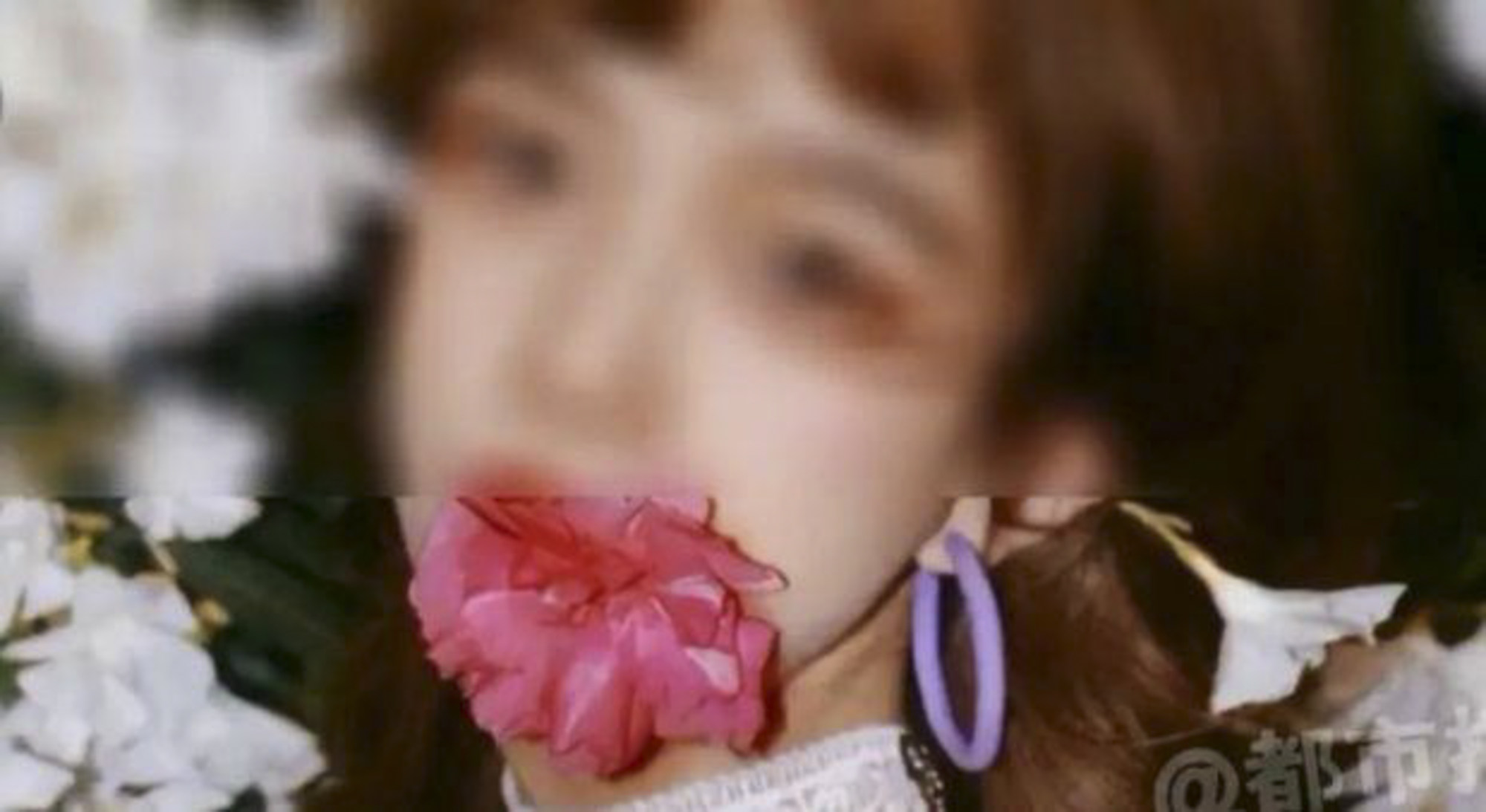 The oleander scare has been a hit topic online in recent days, with its post being viewed 290 million times on Weibo. Photo: Baidu