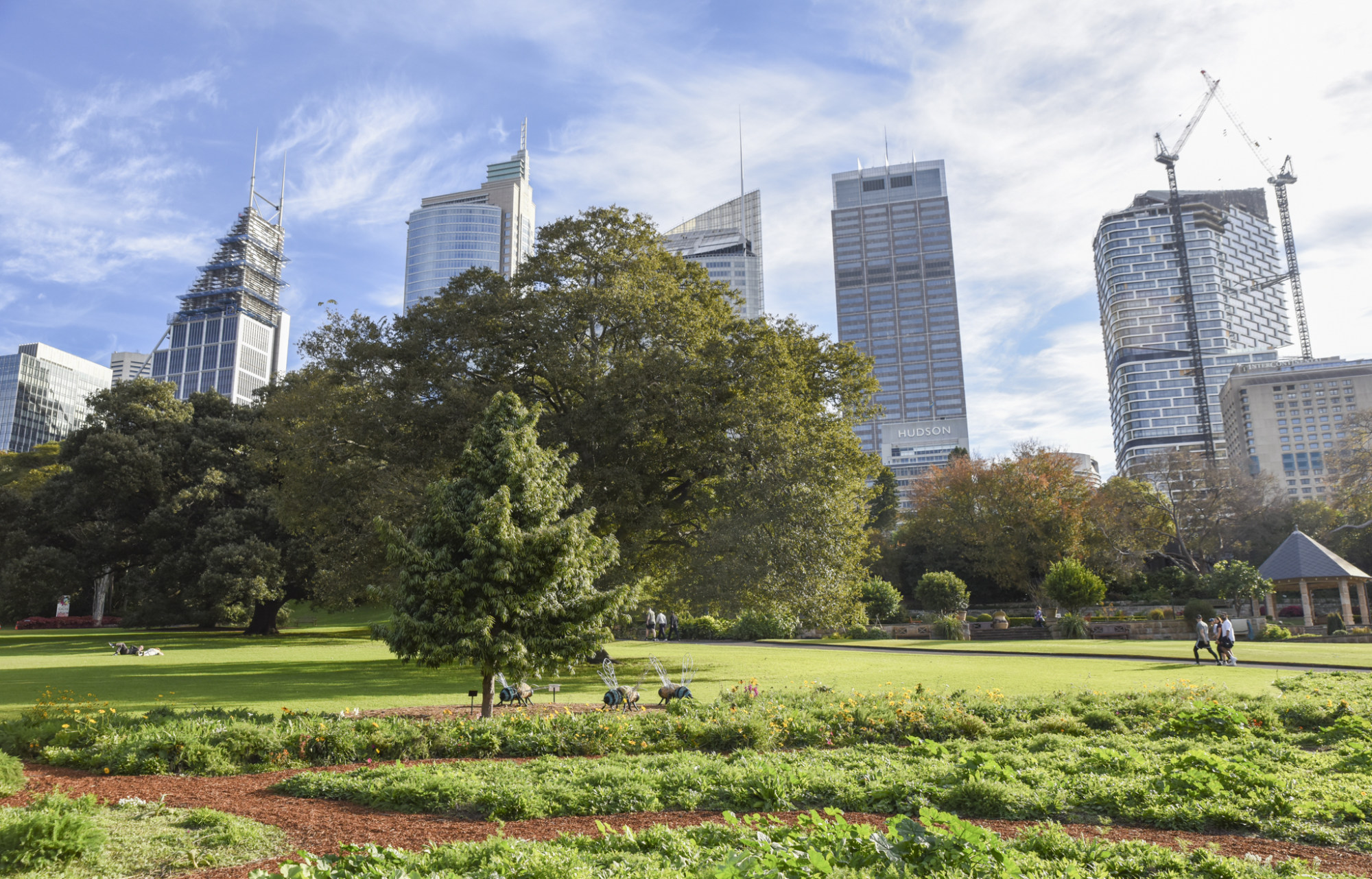 The Royal Botanic Garden Sydney, located alongside the Bara monument, has deep connections to the Gadigal people. Photo: Ronan O’Connell