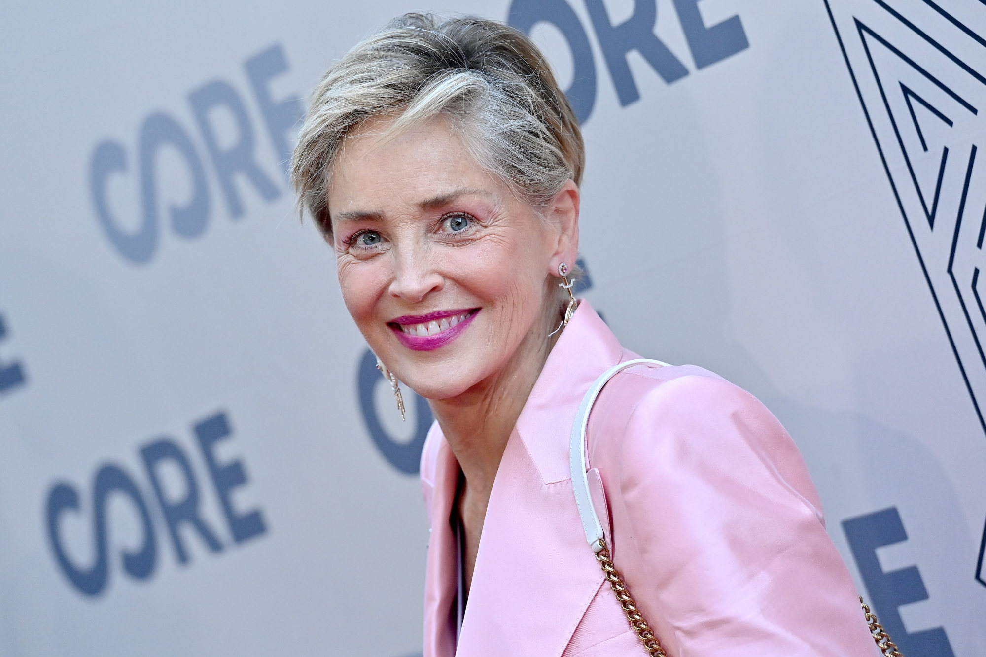 Actress Sharon Stone suffered aphasia after a brain aneurysm 20 years ago. Photo: Axelle/Bauer-Griffin/FilmMagic