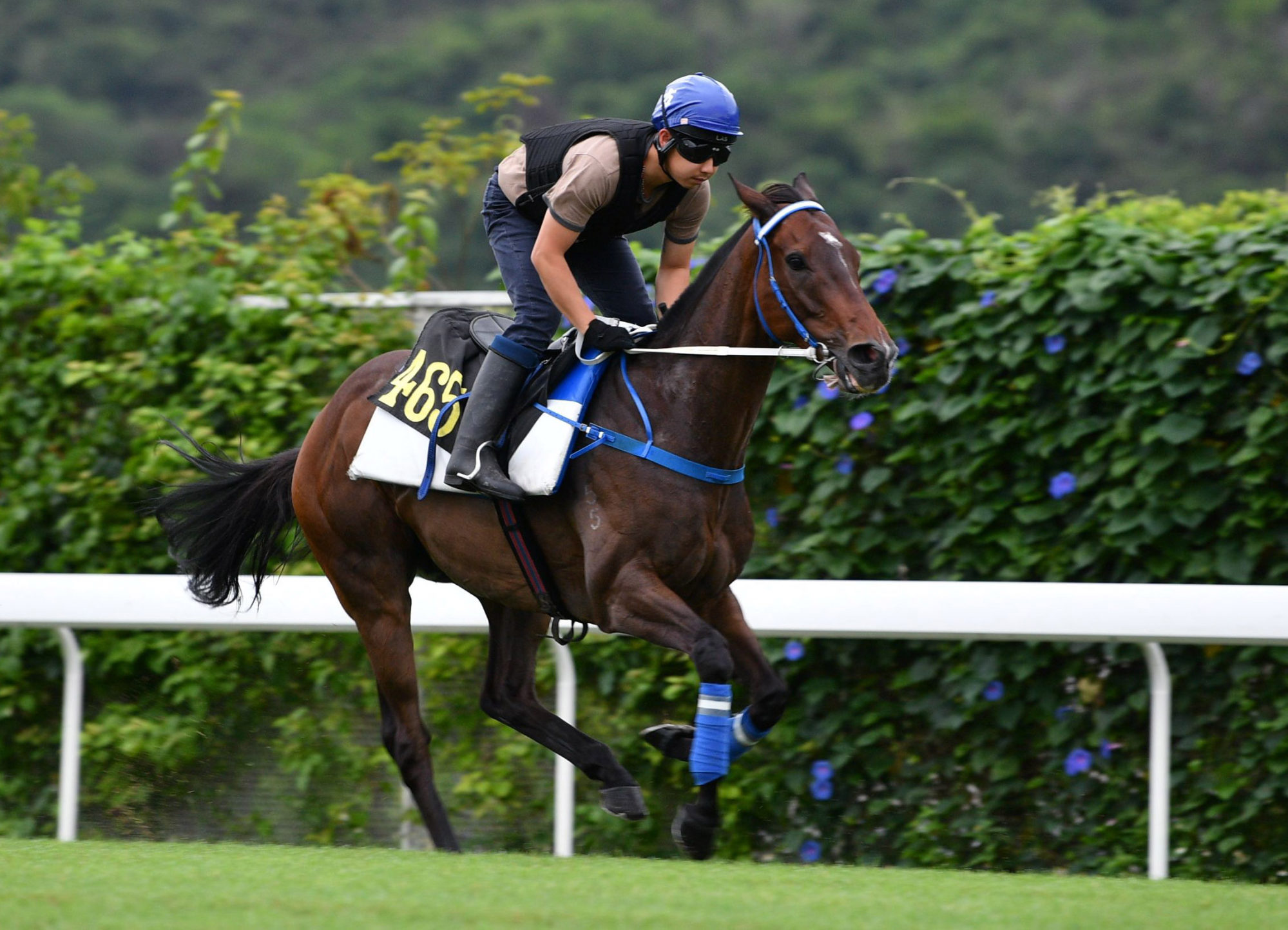 Columbus County gallops on Thursday.