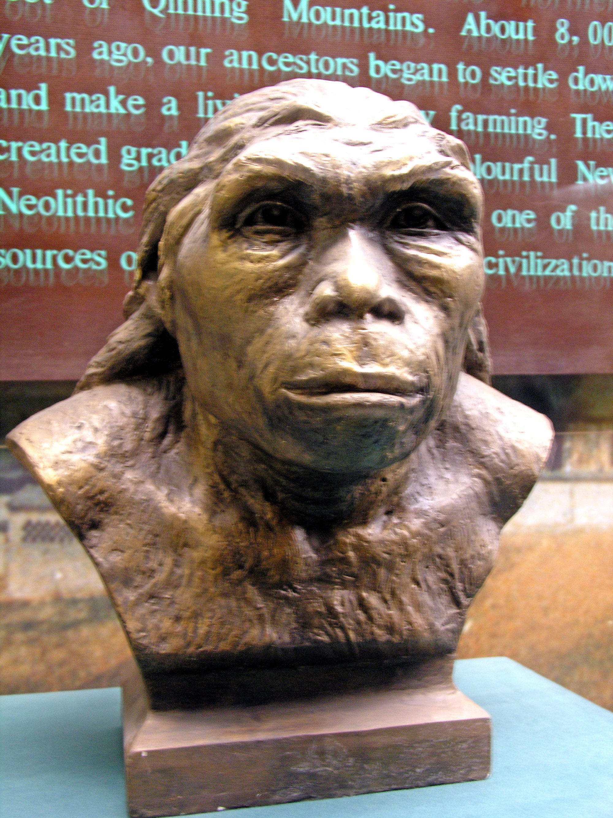 This 1.63 millionyearold fossil may have been the first human