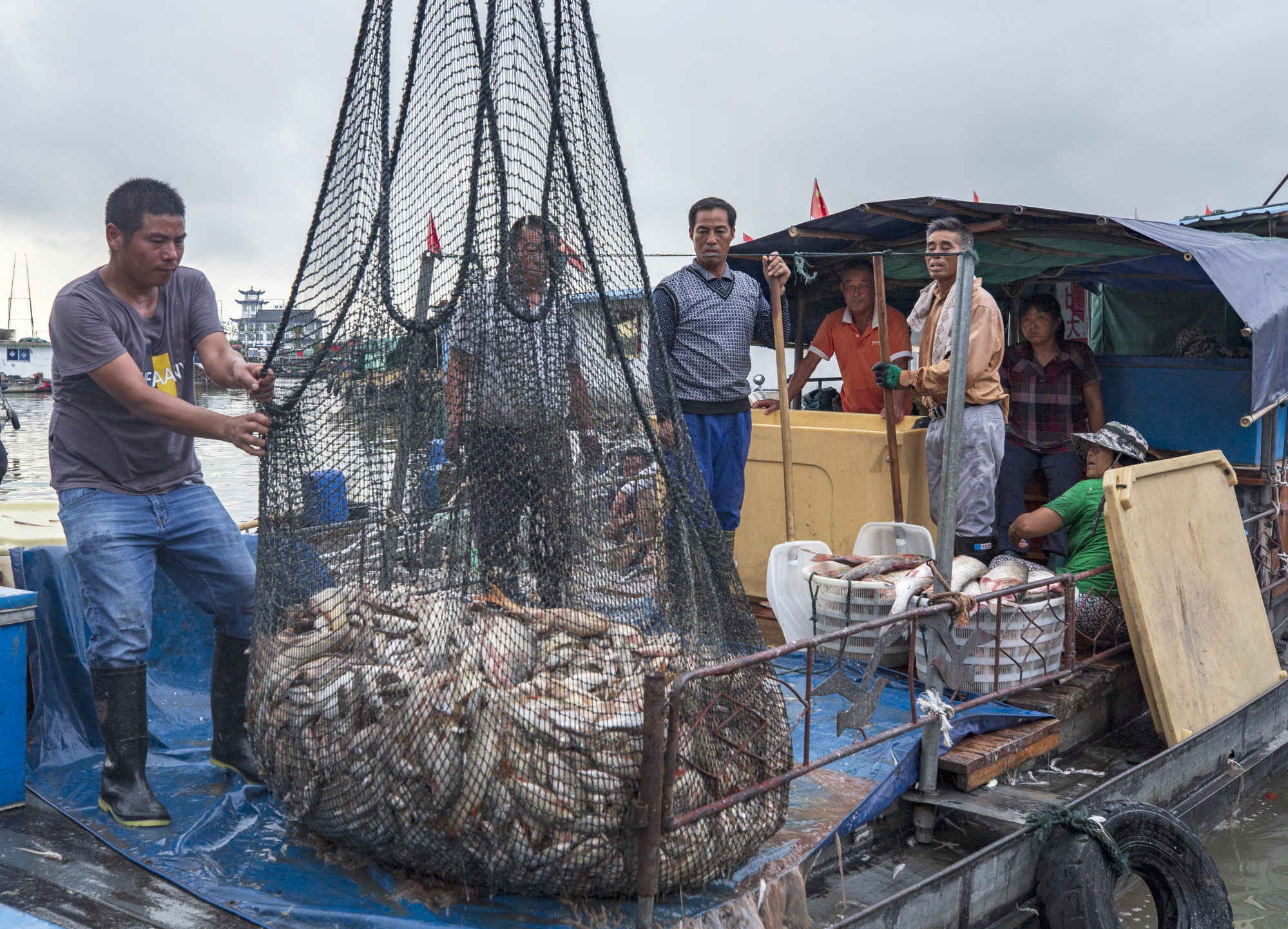 About a third of the world’s ocean fish stocks have already been fished at biologically unsustainable levels, according to the Food and Agriculture Organisation (FAO) of the United Nations. Photo: VGC