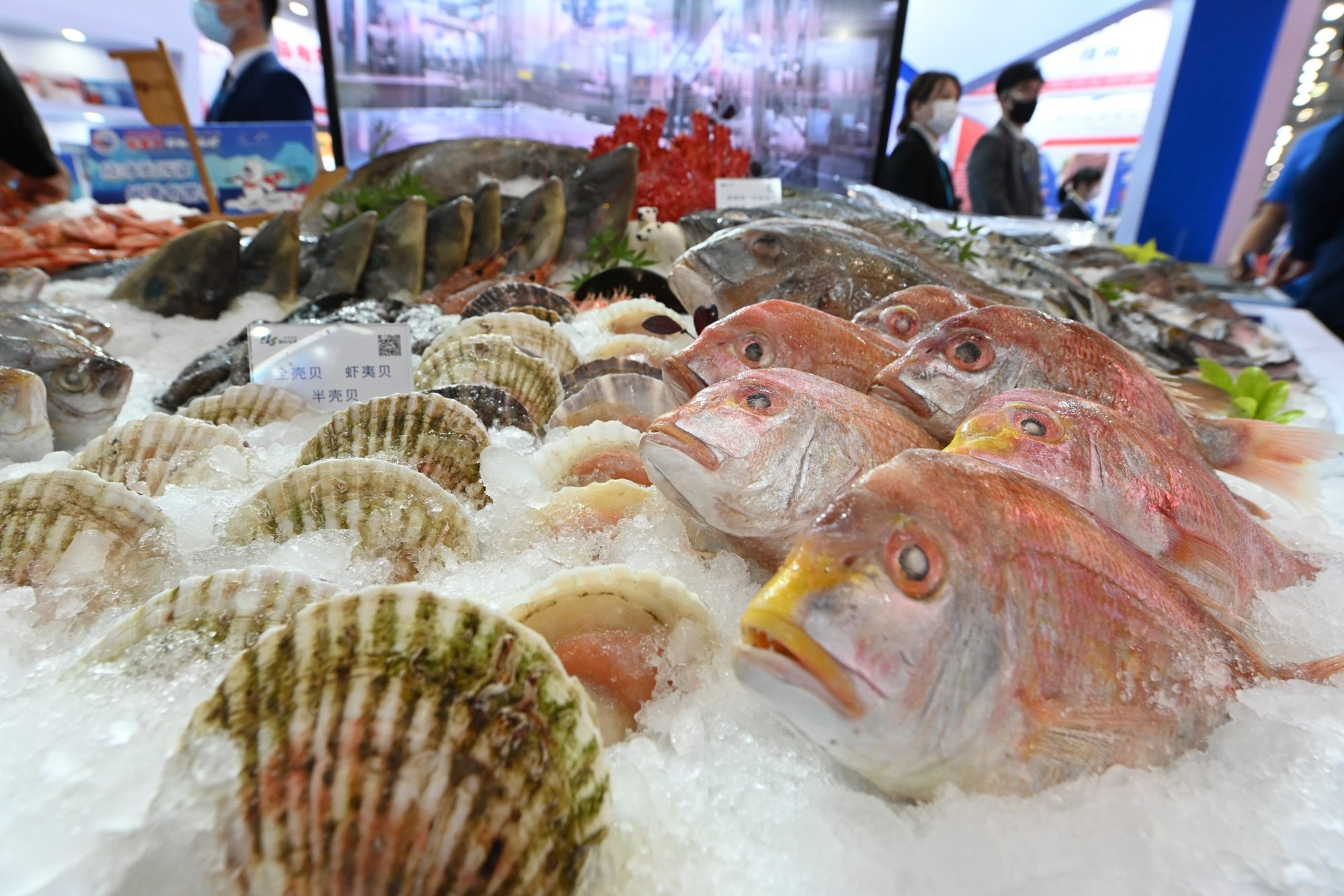 The East and South China Seas, from which US$22.8 billion of seafood was extracted in 2018, have experienced decades of damage from overfishing. Photo: Xinhua/Lin Shanchuan