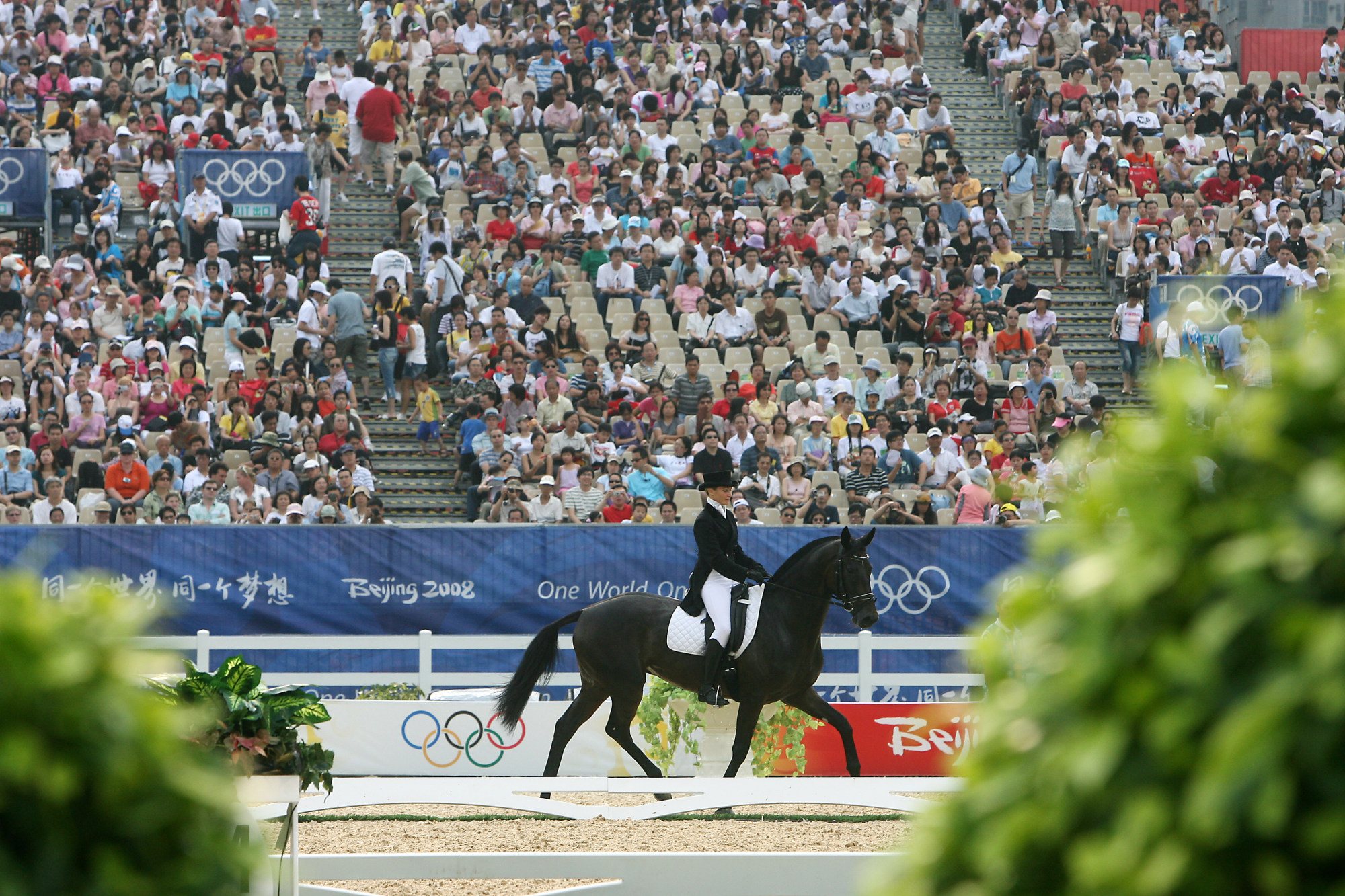 Hong Kong stages the 2008 Olympic dressage competition in Sha Tin. Photo: K.Y. Cheng