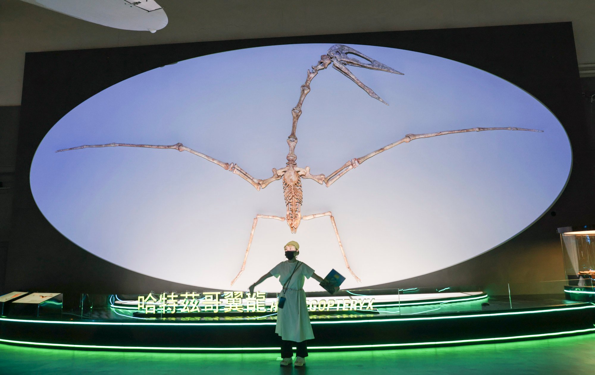 8 reconstructed dinosaur fossils take over Hong Kong Science Museum for