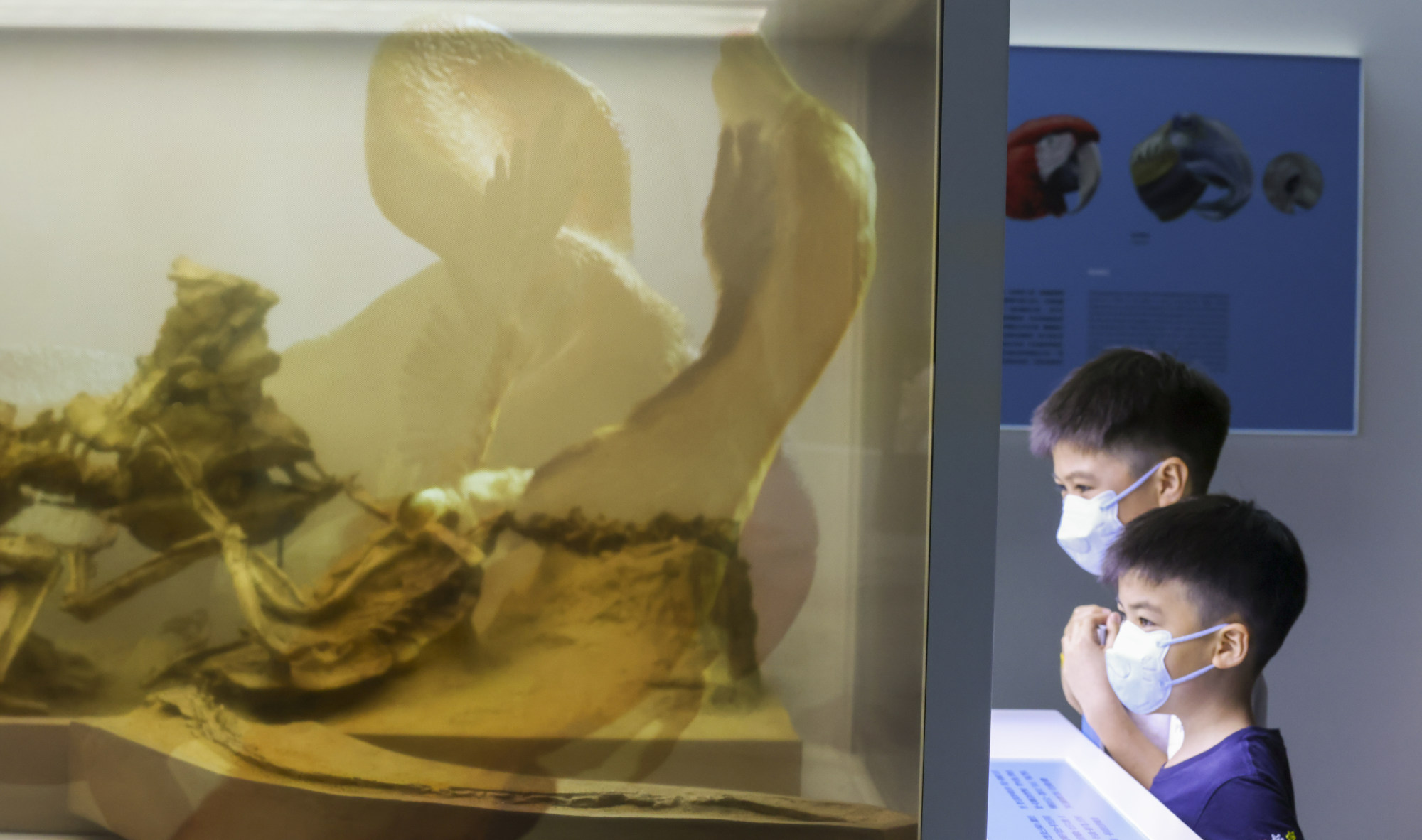 8 reconstructed dinosaur fossils take over Hong Kong Science Museum for