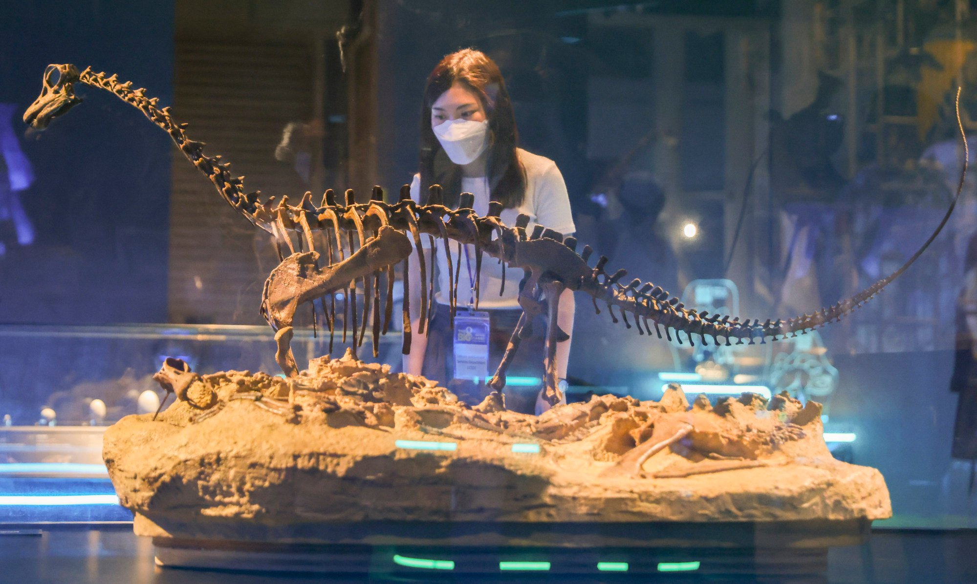 8 reconstructed dinosaur fossils take over Hong Kong Science Museum for