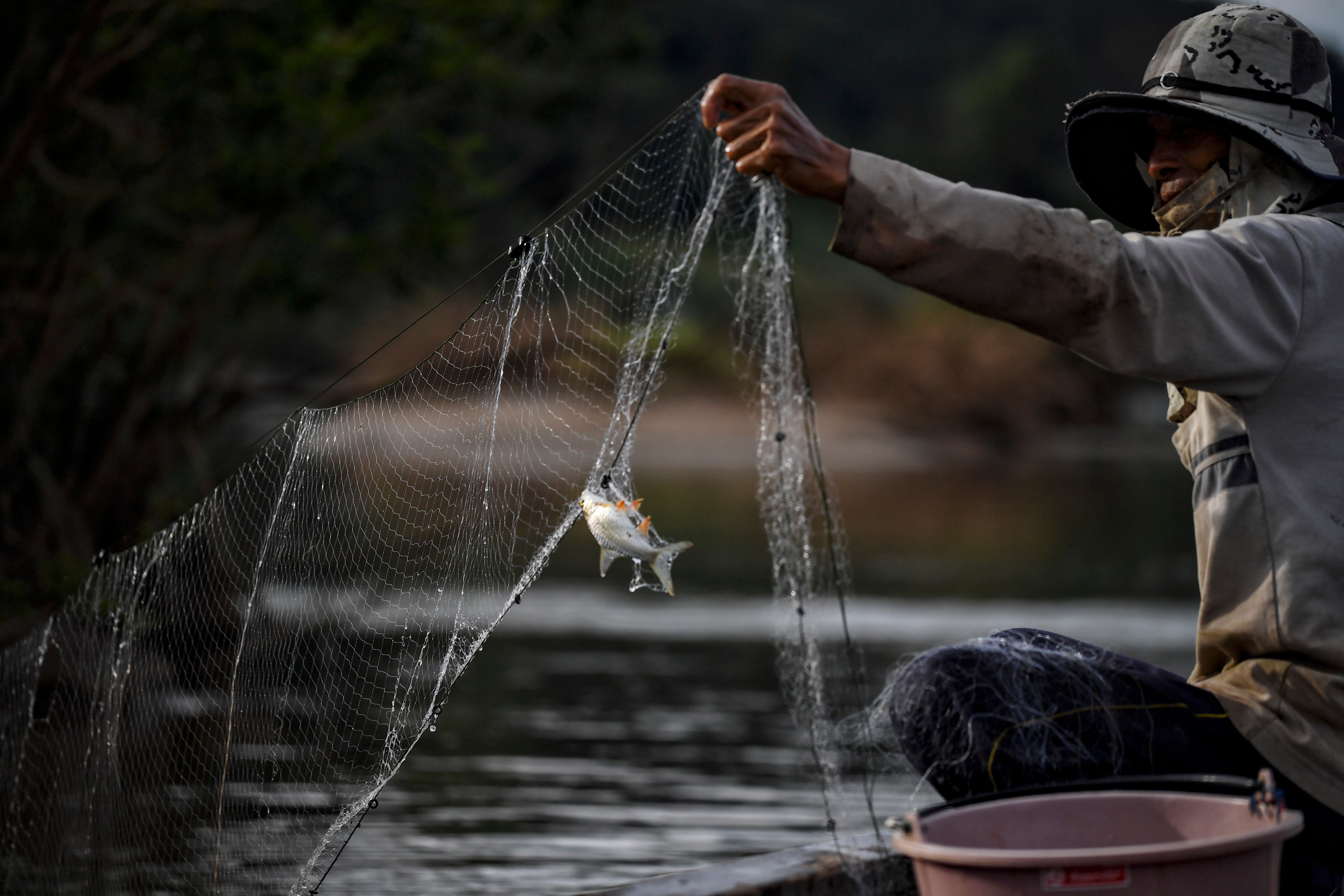 A fisherman checks his net along the Mekong River in the northeastern Thai province of Nong Khai. File photo: AFP 