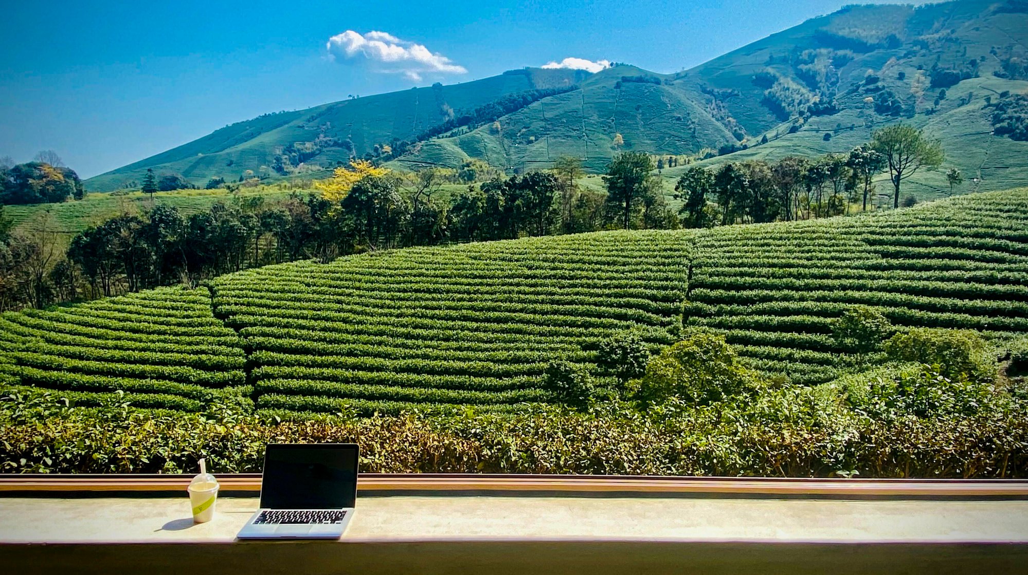 Liu Nian’s remote-work set-up overlooking a tea plantation in Anji county, Zhejiang province. Photo: Liu Nian