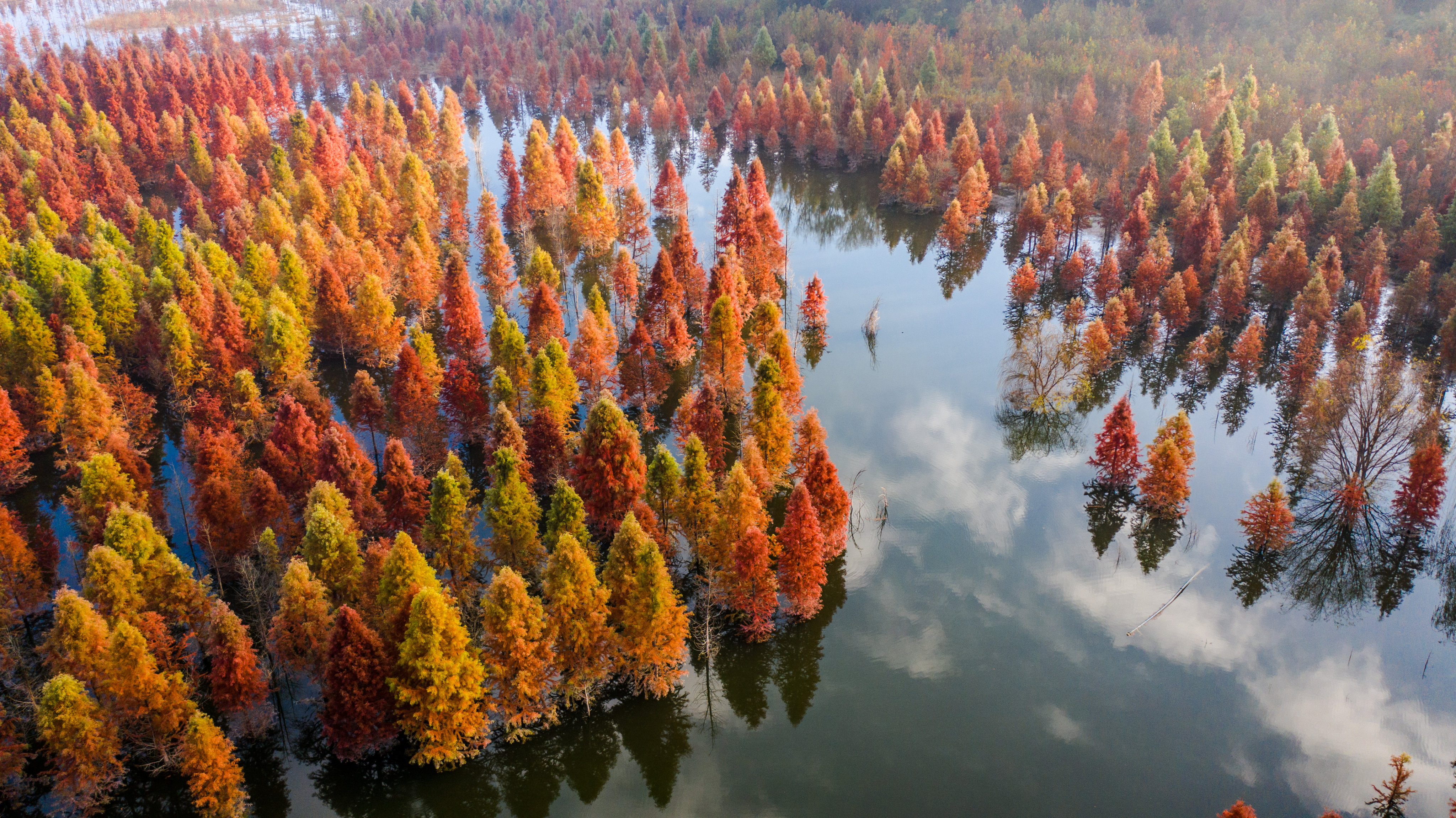 Yunnan province hosts some of China’s most important ecological sites. Photo: Xinhua